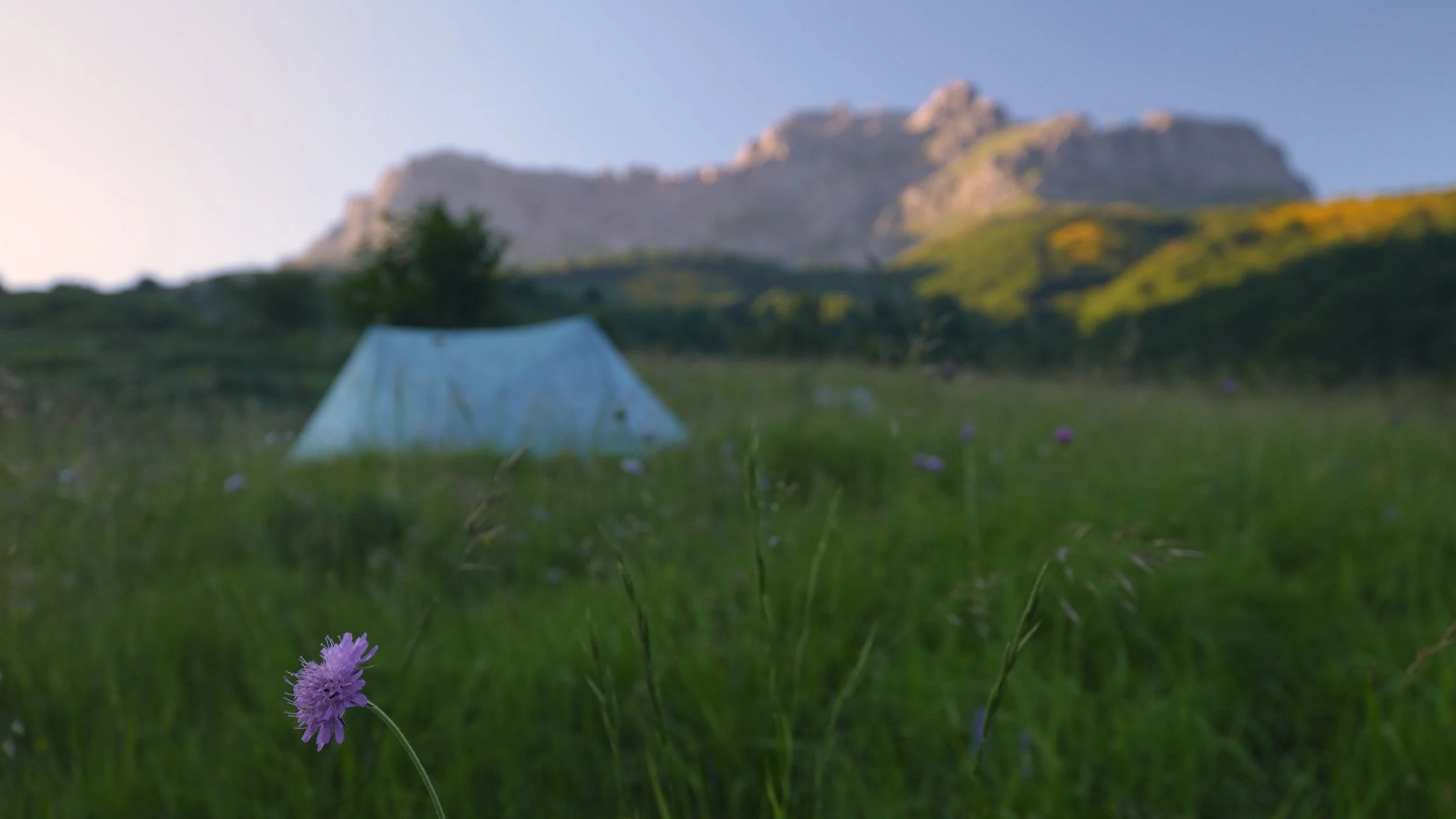 A camping tent set up in a grassy field with mountain peaks in the background during daylight.