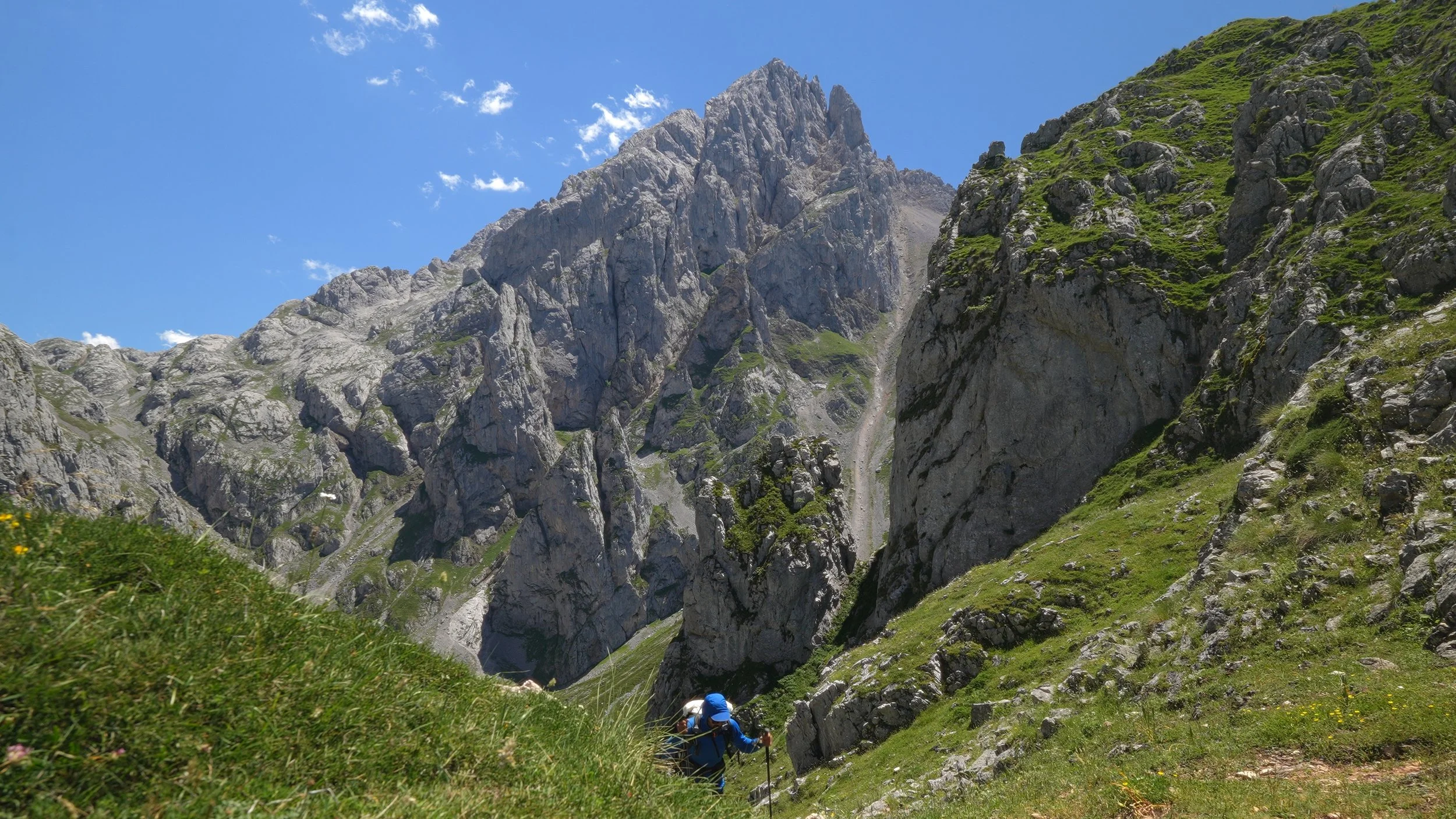 Hiker wearing a blue jacket and hat walking through a lush green mountain landscape with rocky peaks under a bright blue sky.