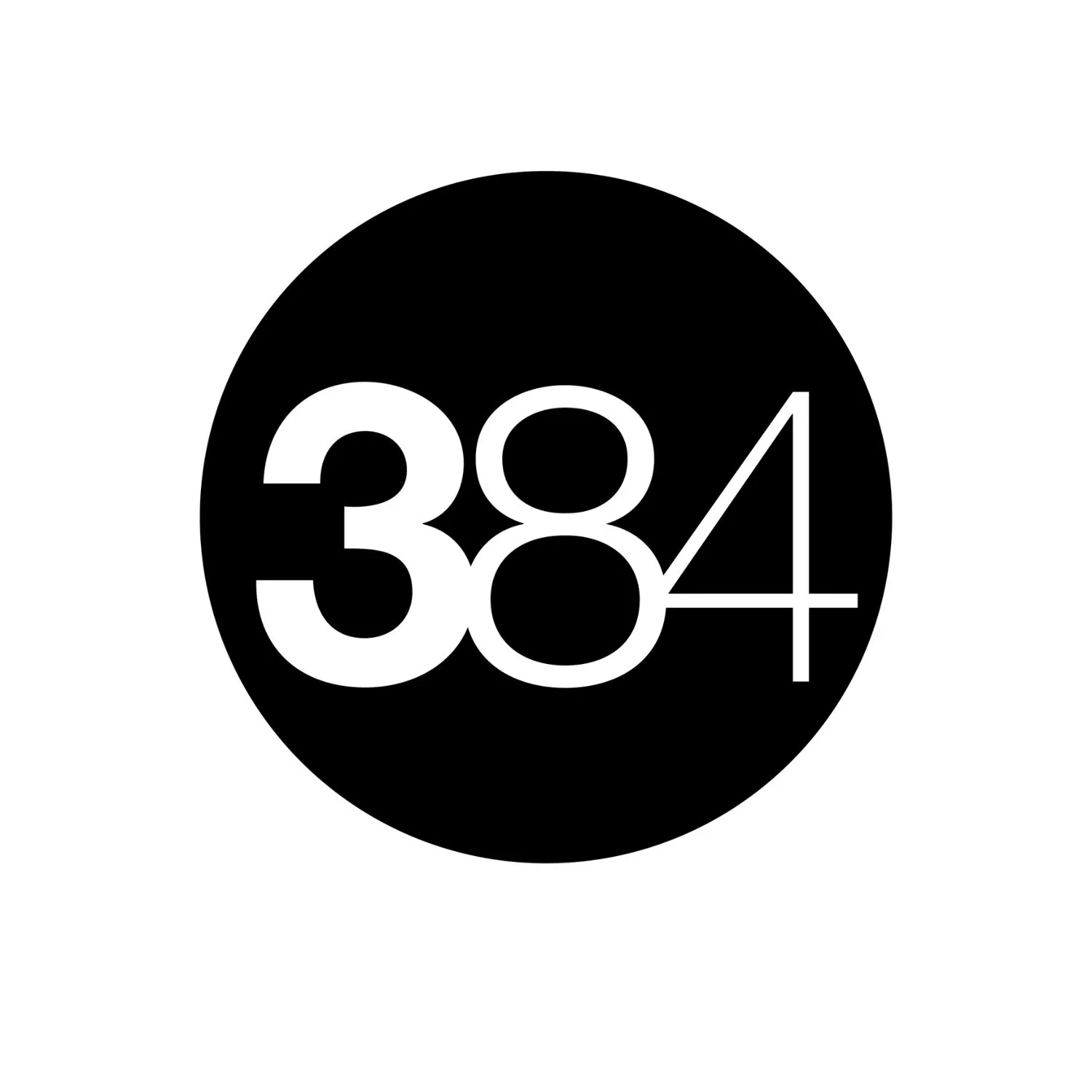 384 logo