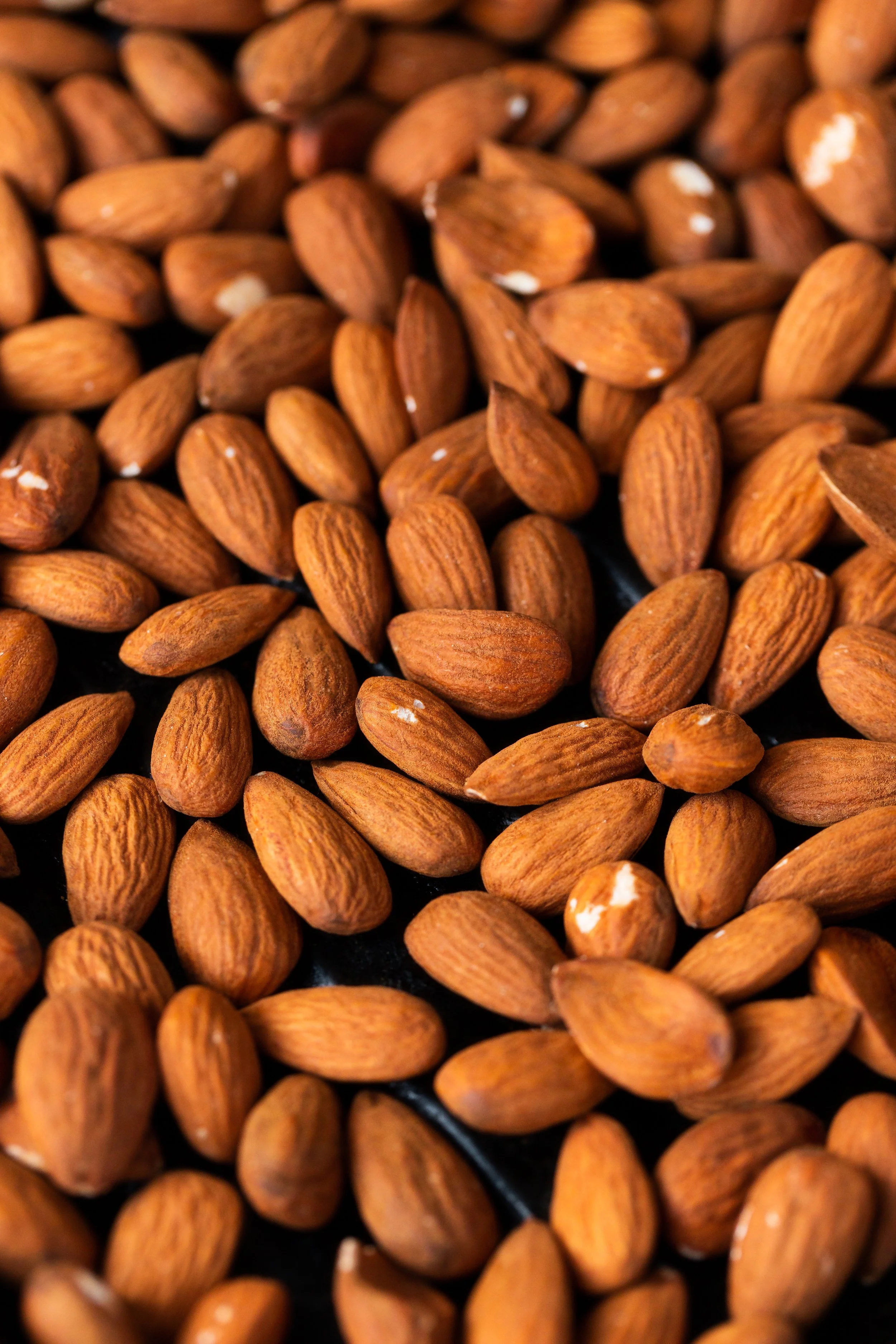 Pastas 9 Laura Dicker.JPEG