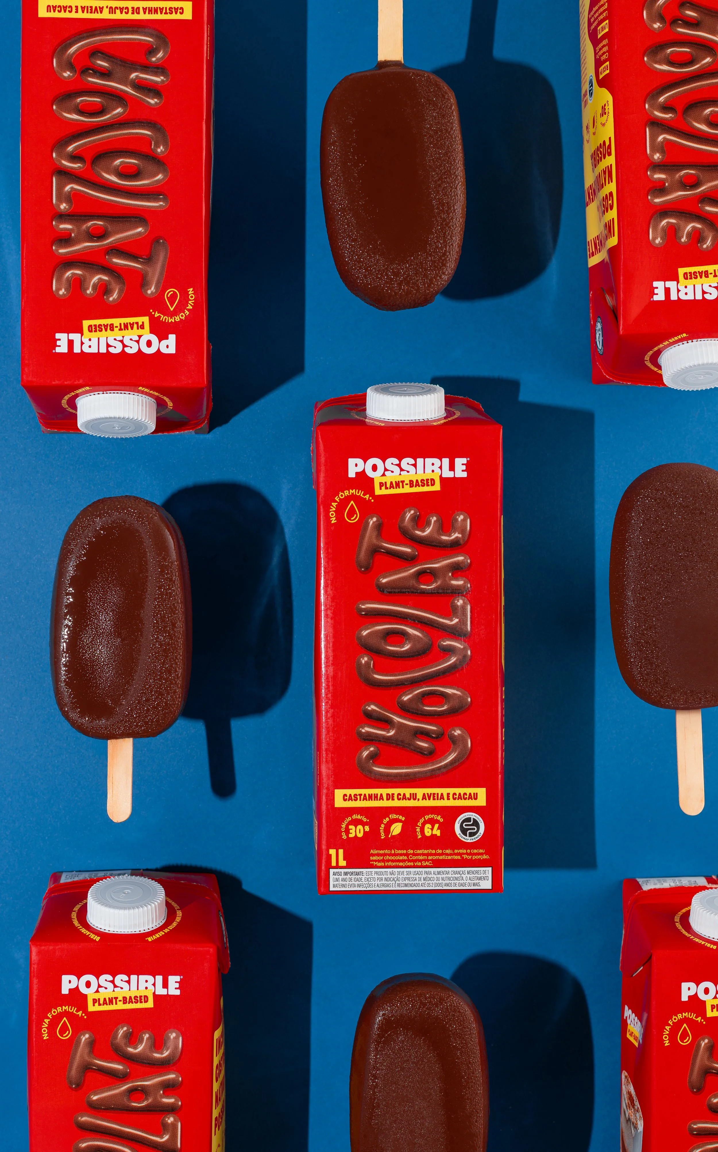 possible fevereiro 1.JPG