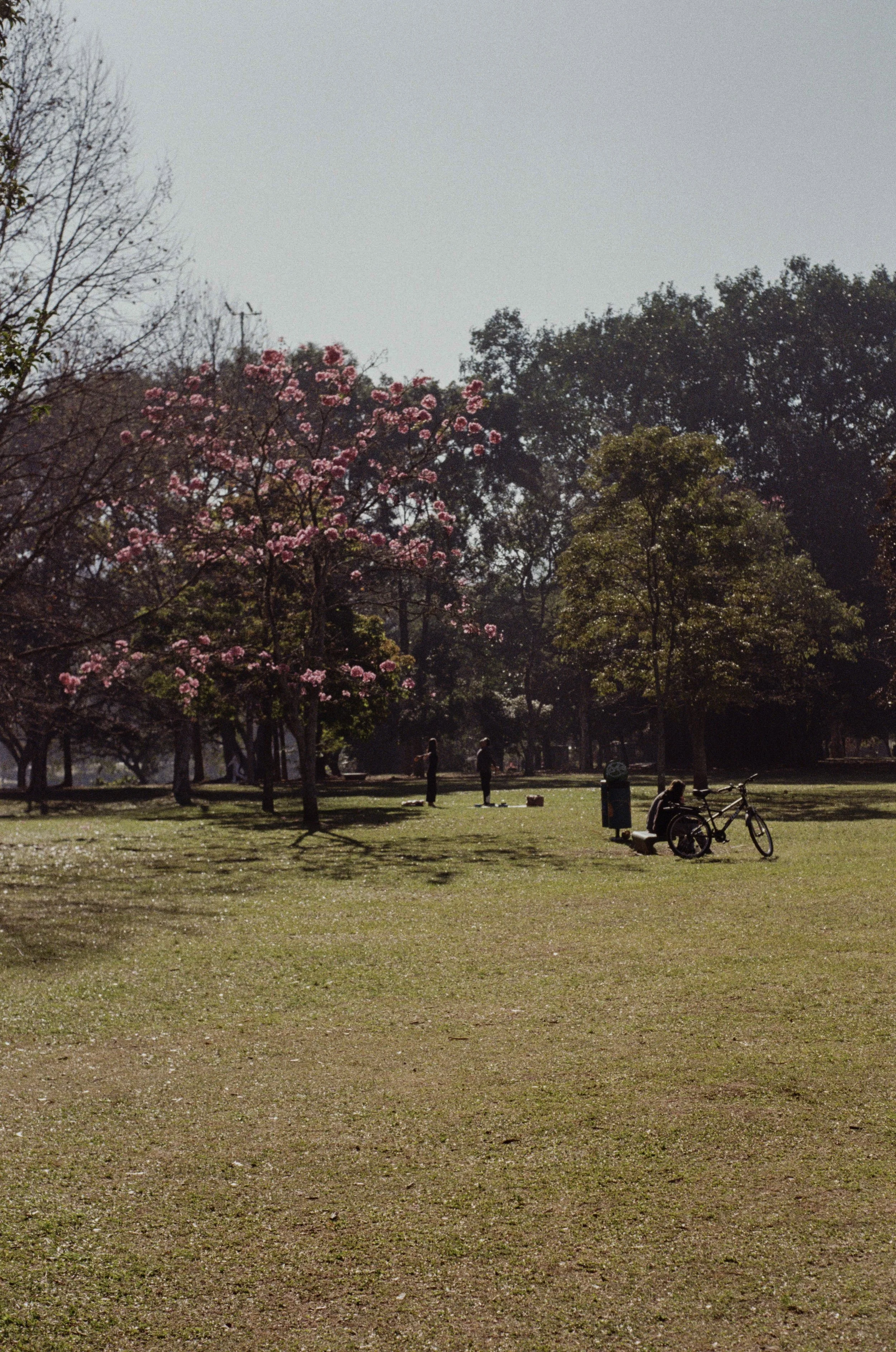 0612-PROIMAGE100-27.jpg