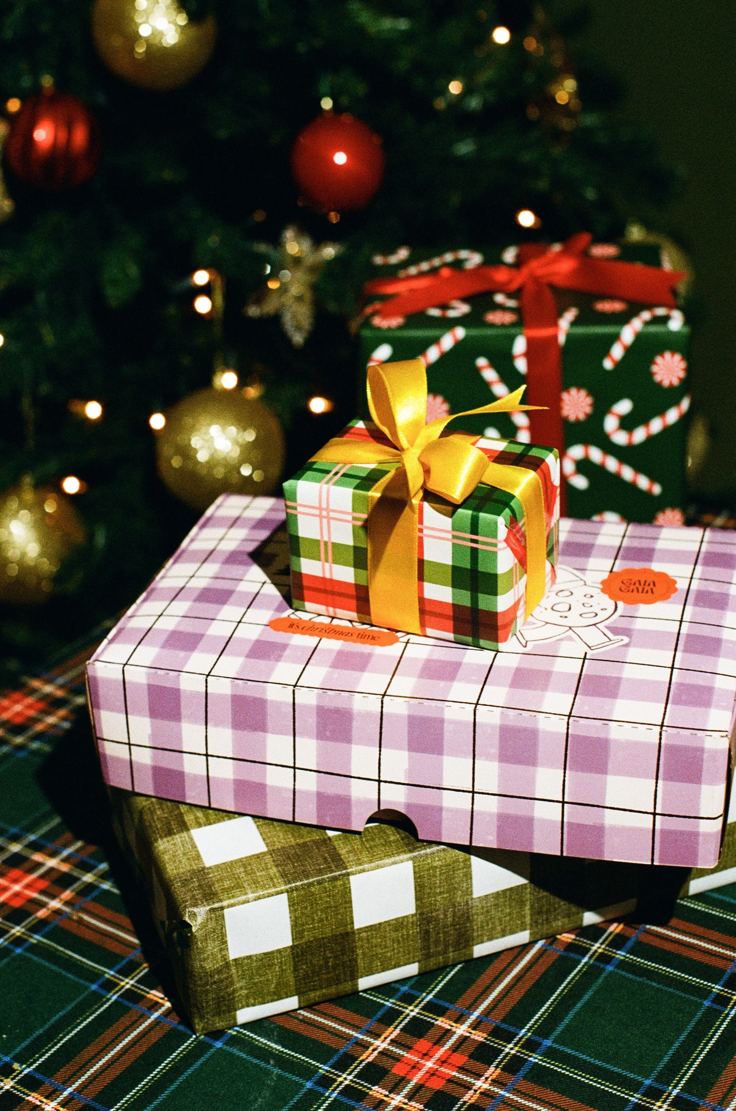 gaia gaia filme-15.jpg