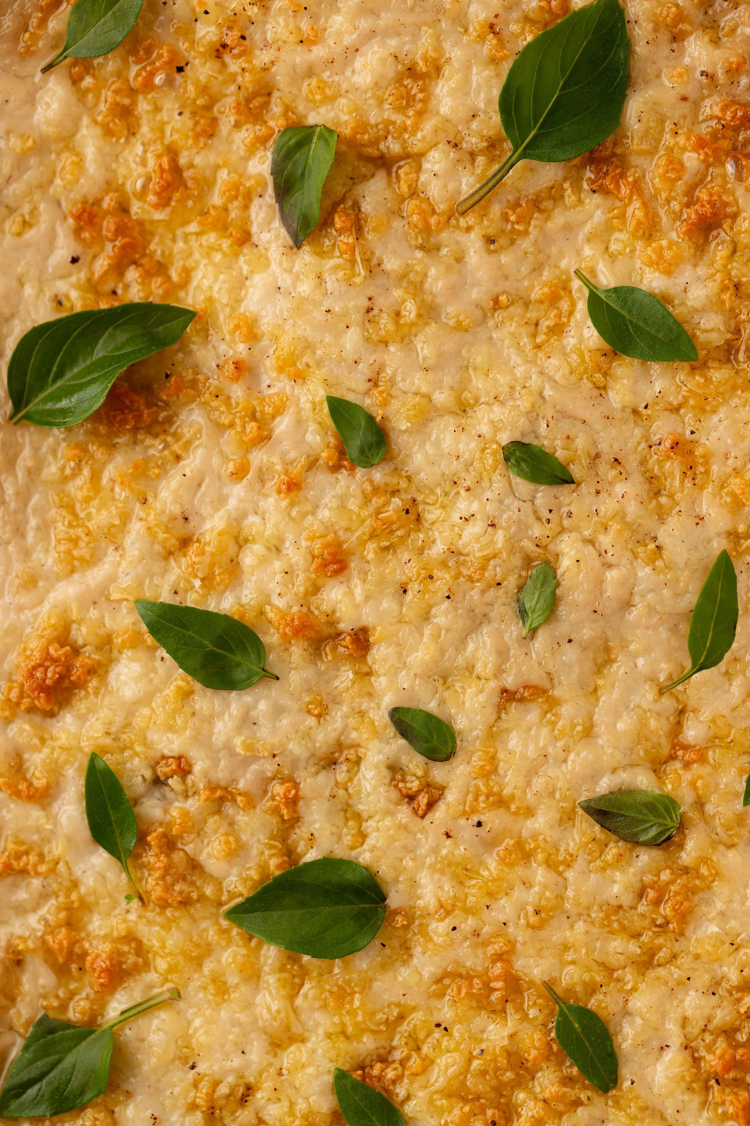 lasanha vida veg 2.JPG