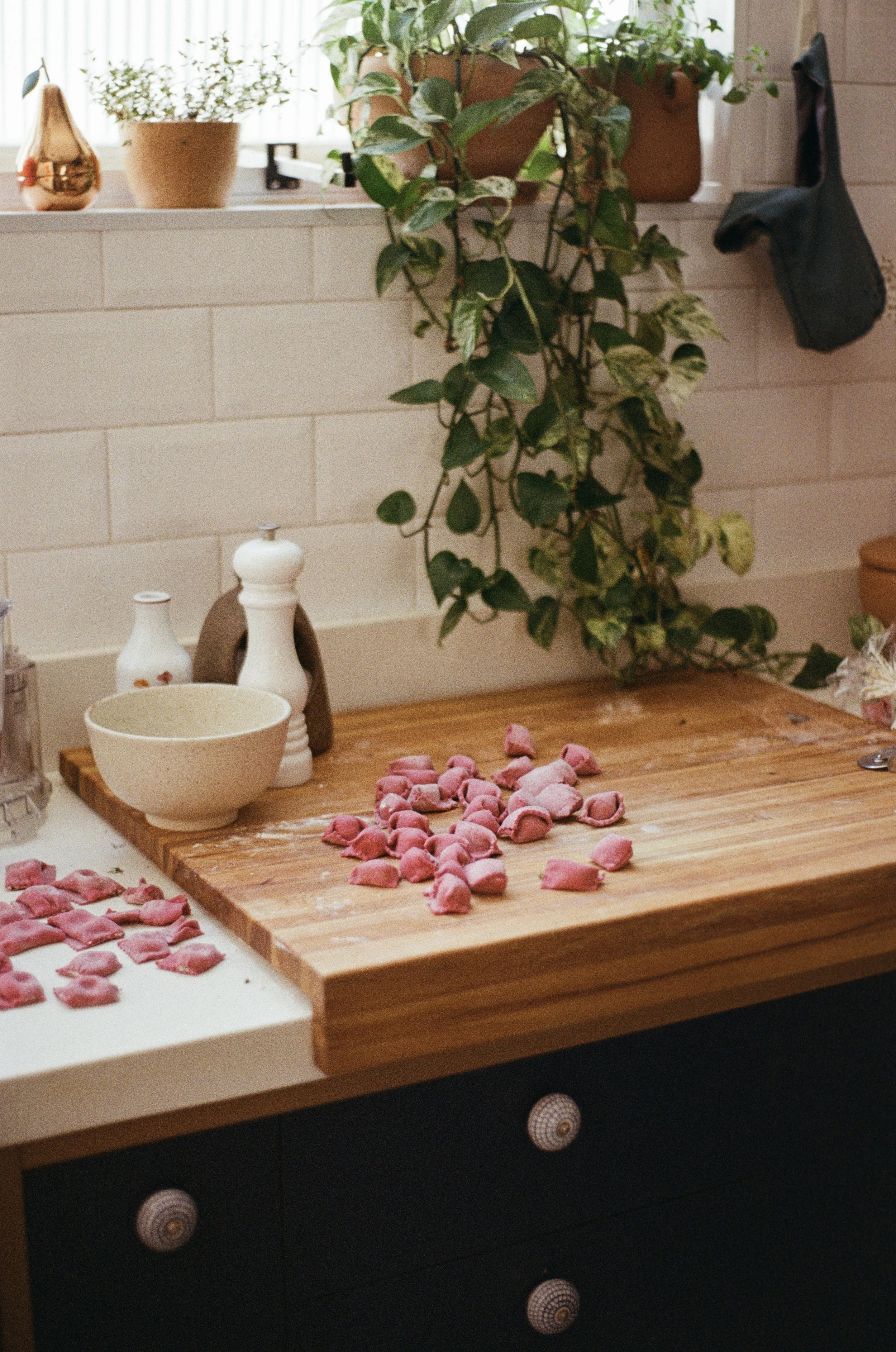 0207-FUJI-12.jpg