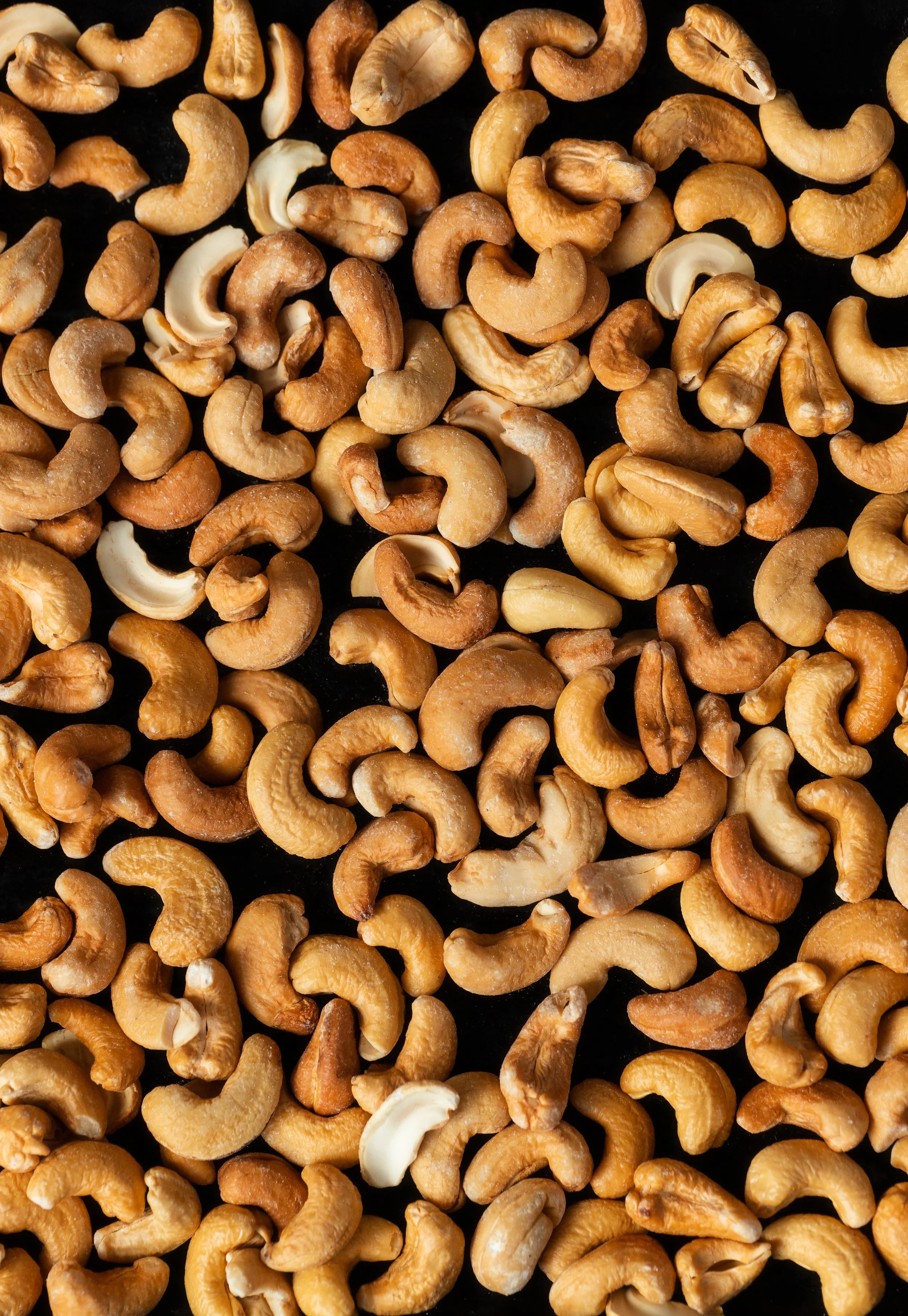 Pastas 12 Laura Dicker.JPEG