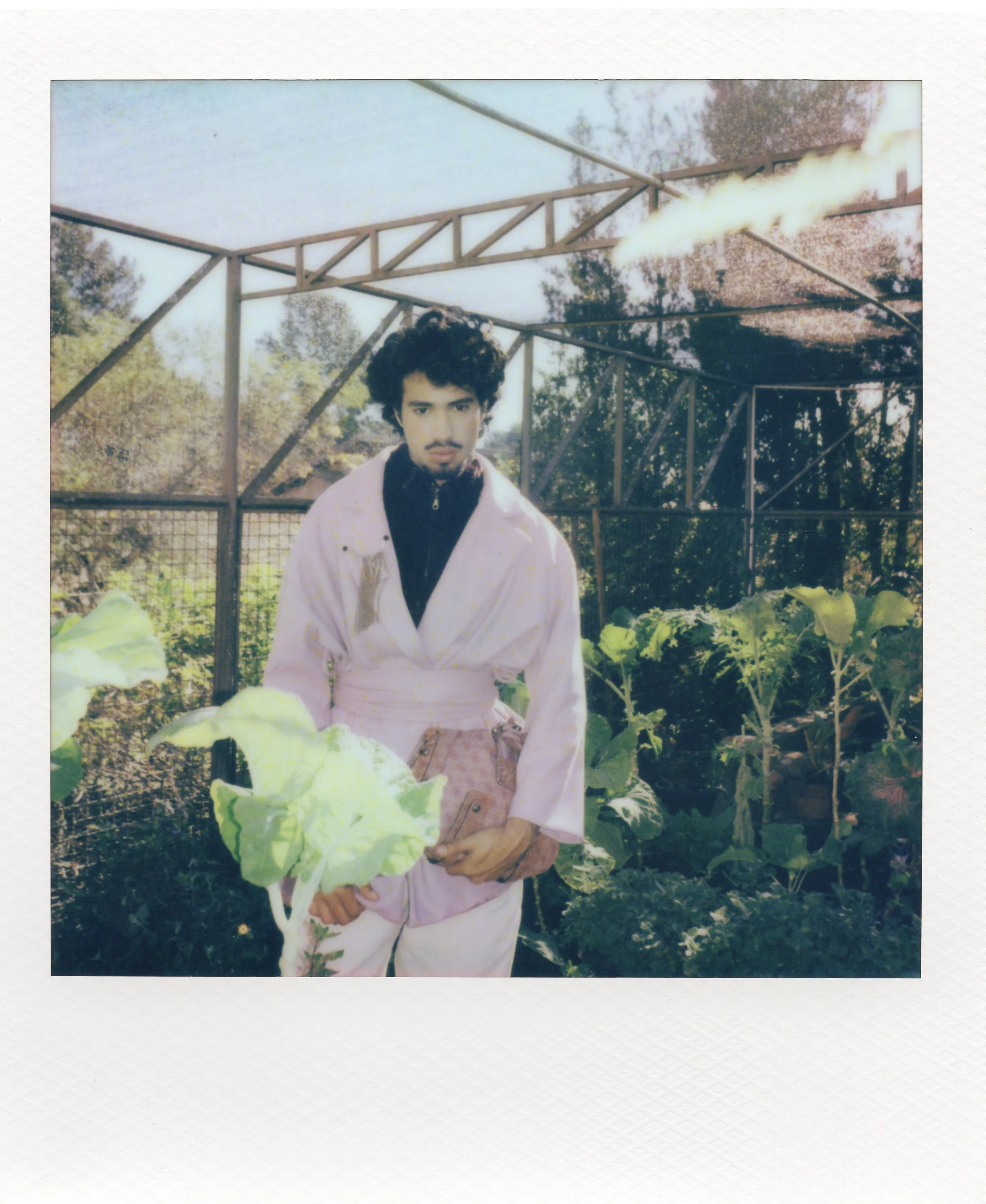 polaroid5.jpg