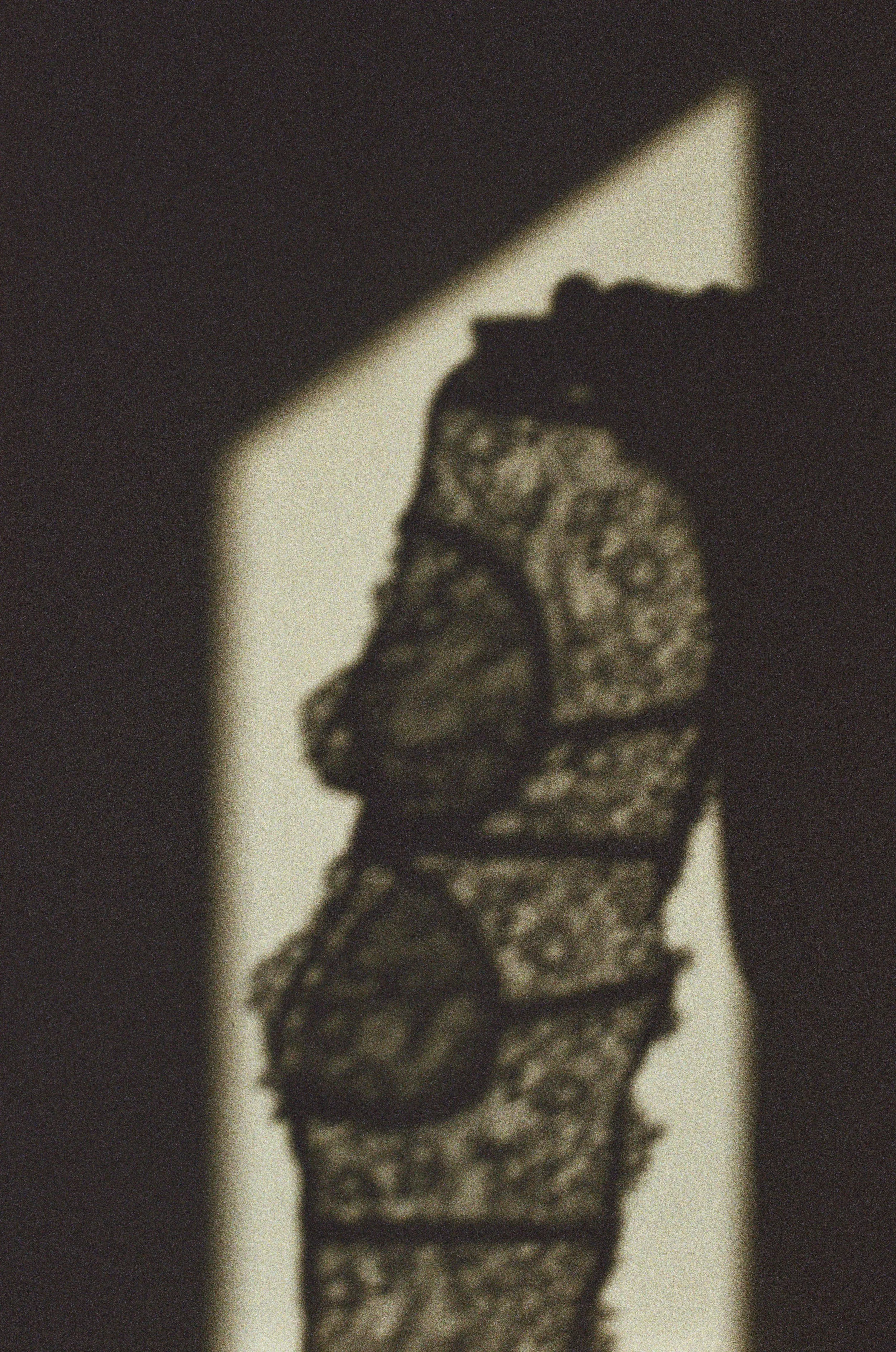 jufuji400-17.jpeg
