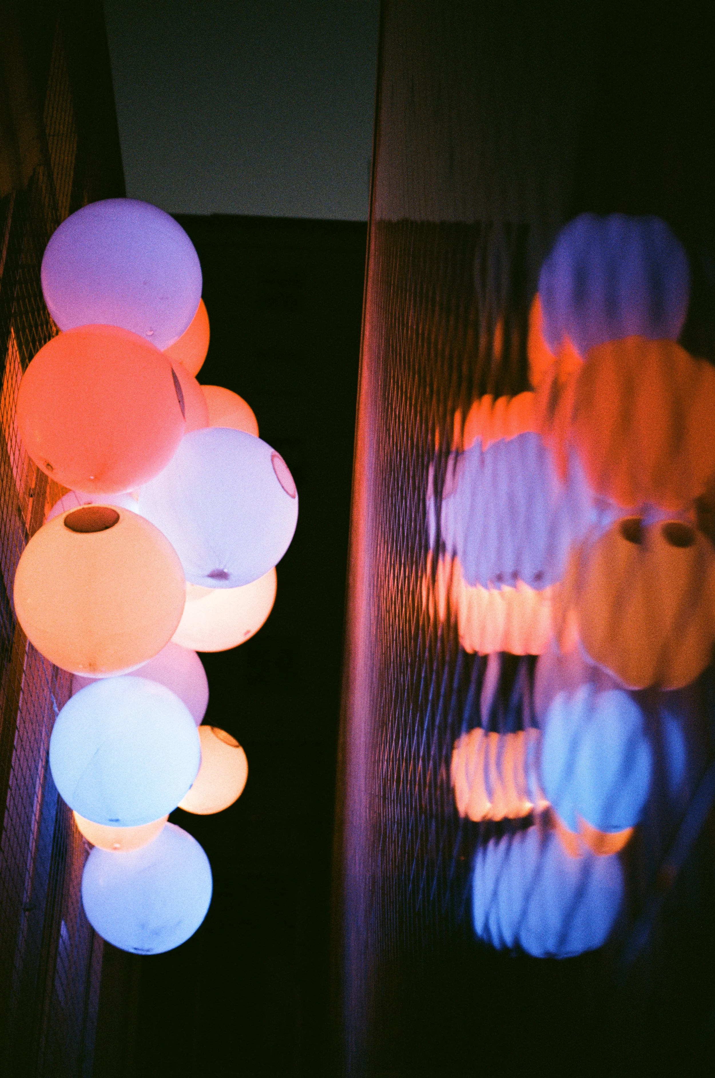 proimage100-6.jpg