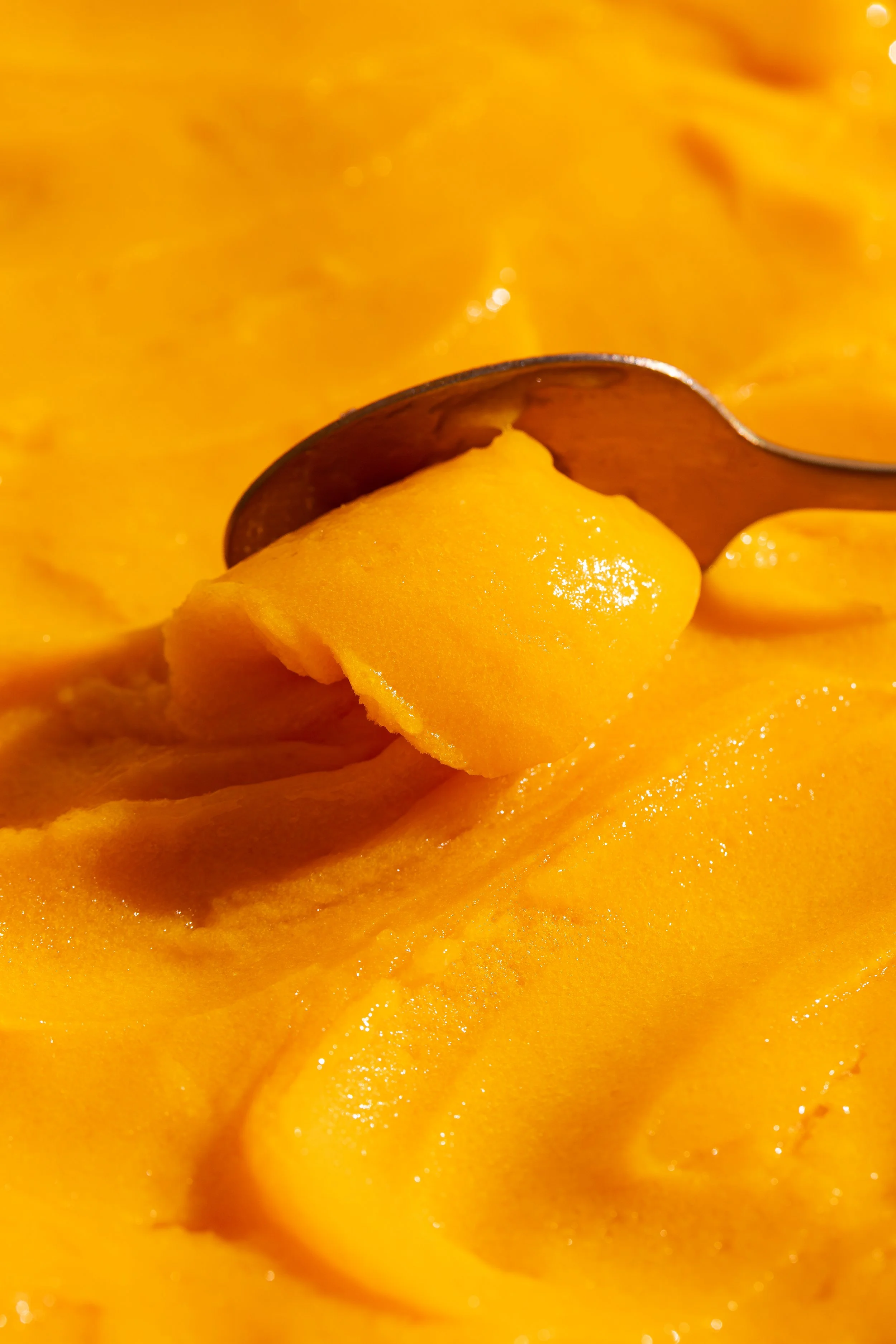 insider fevereiro 5.jpg