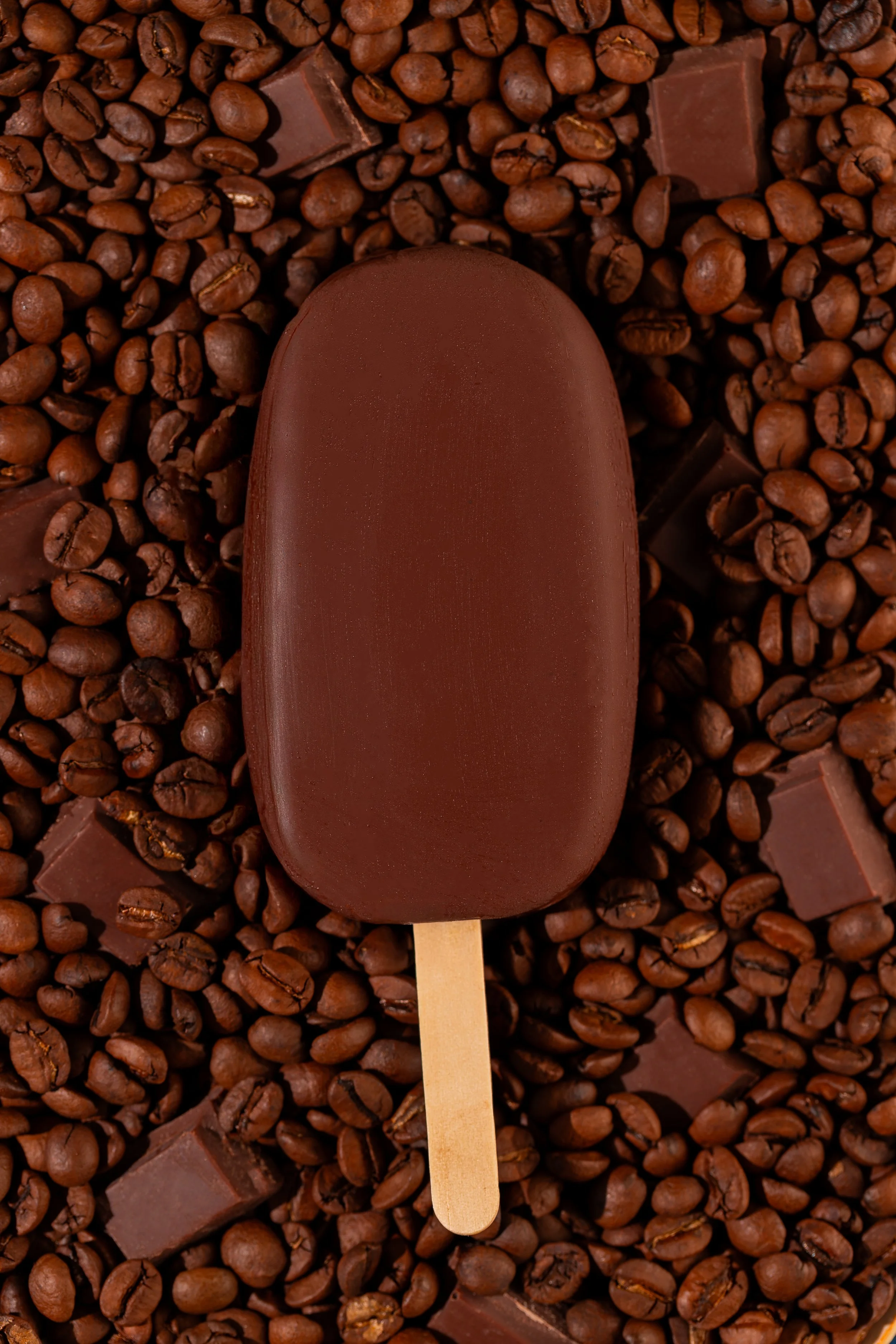 possible fevereiro 5.JPG