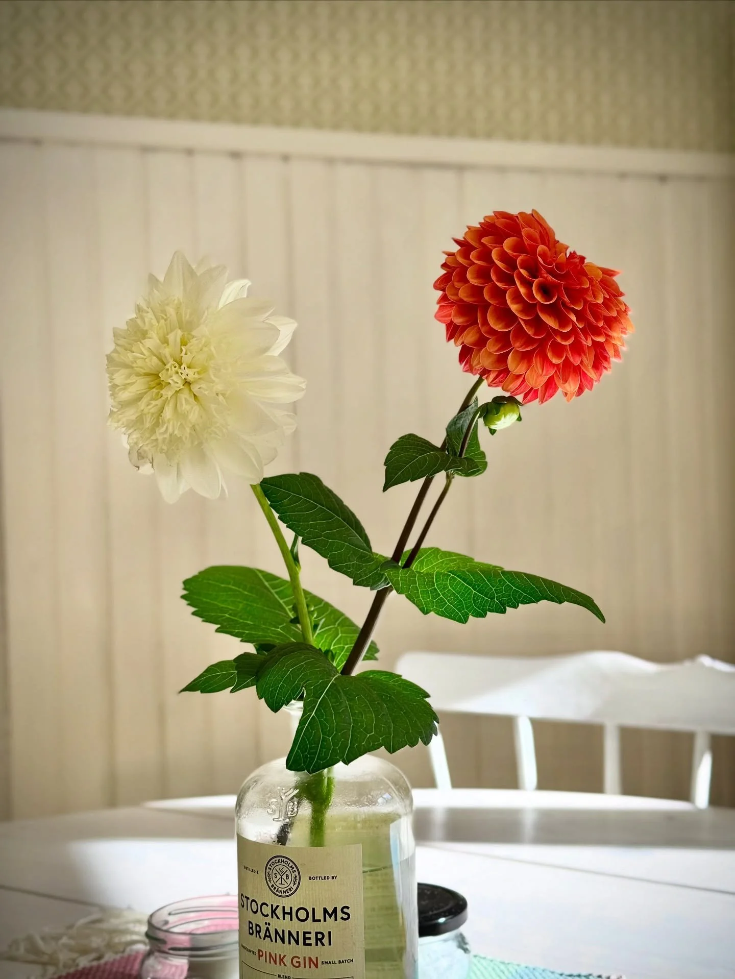 Innan frosten tar dem, och det &auml;r dags att ta upp kn&ouml;larna f&ouml;r vintervila. ❄️🌺

#tr&auml;dg&aring;rdsm&auml;stare #tr&auml;dg&aring;rd #h&ouml;st #dahlia