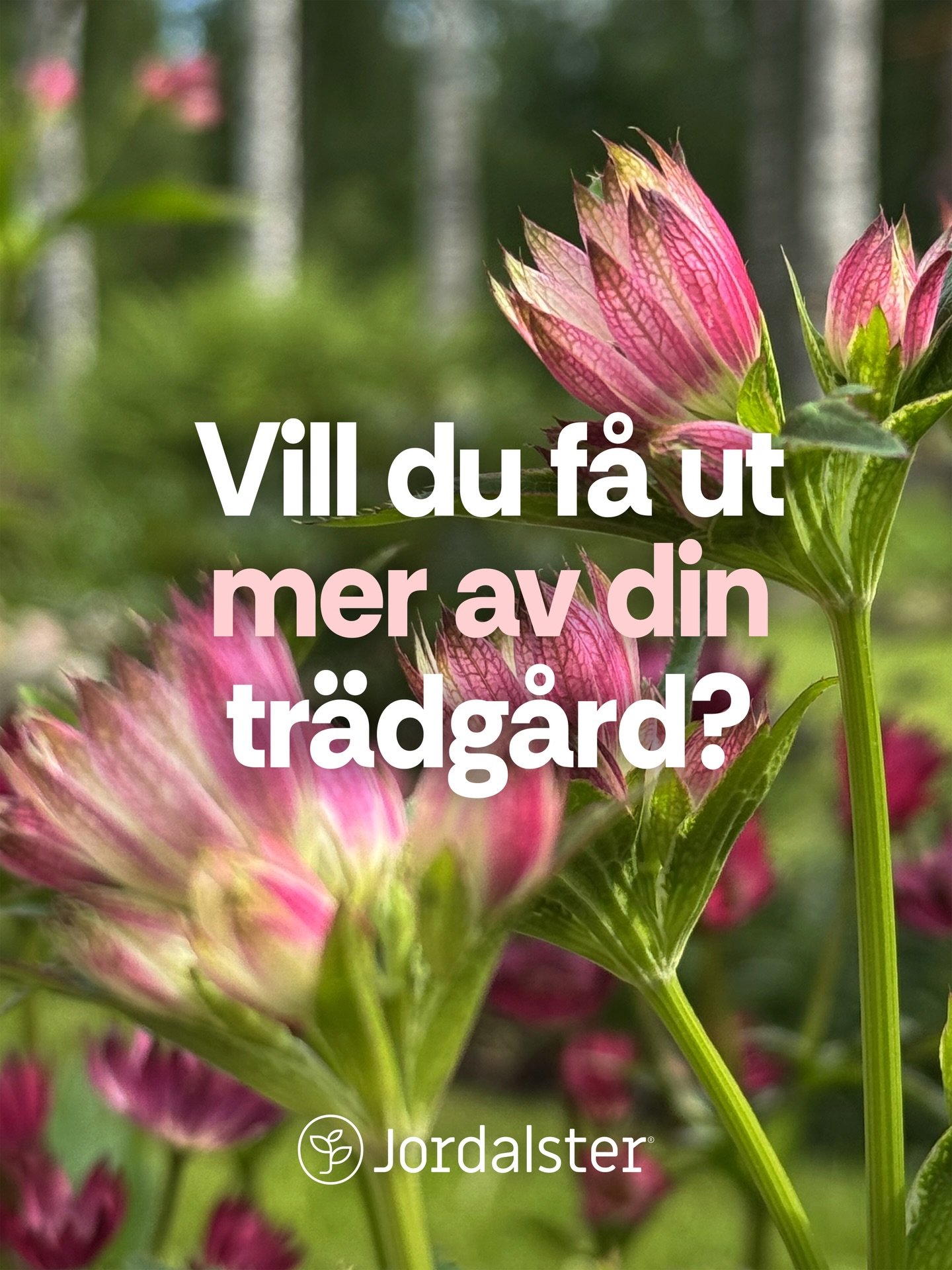 K&auml;nner du att din tr&auml;dg&aring;rd har mer potential, men &auml;r os&auml;ker p&aring; hur du ska utveckla den? 

Jag hj&auml;lper dig med inspiration, id&eacute;er, v&auml;xtval och design f&ouml;r att skapa en mer levande, funktionell och h