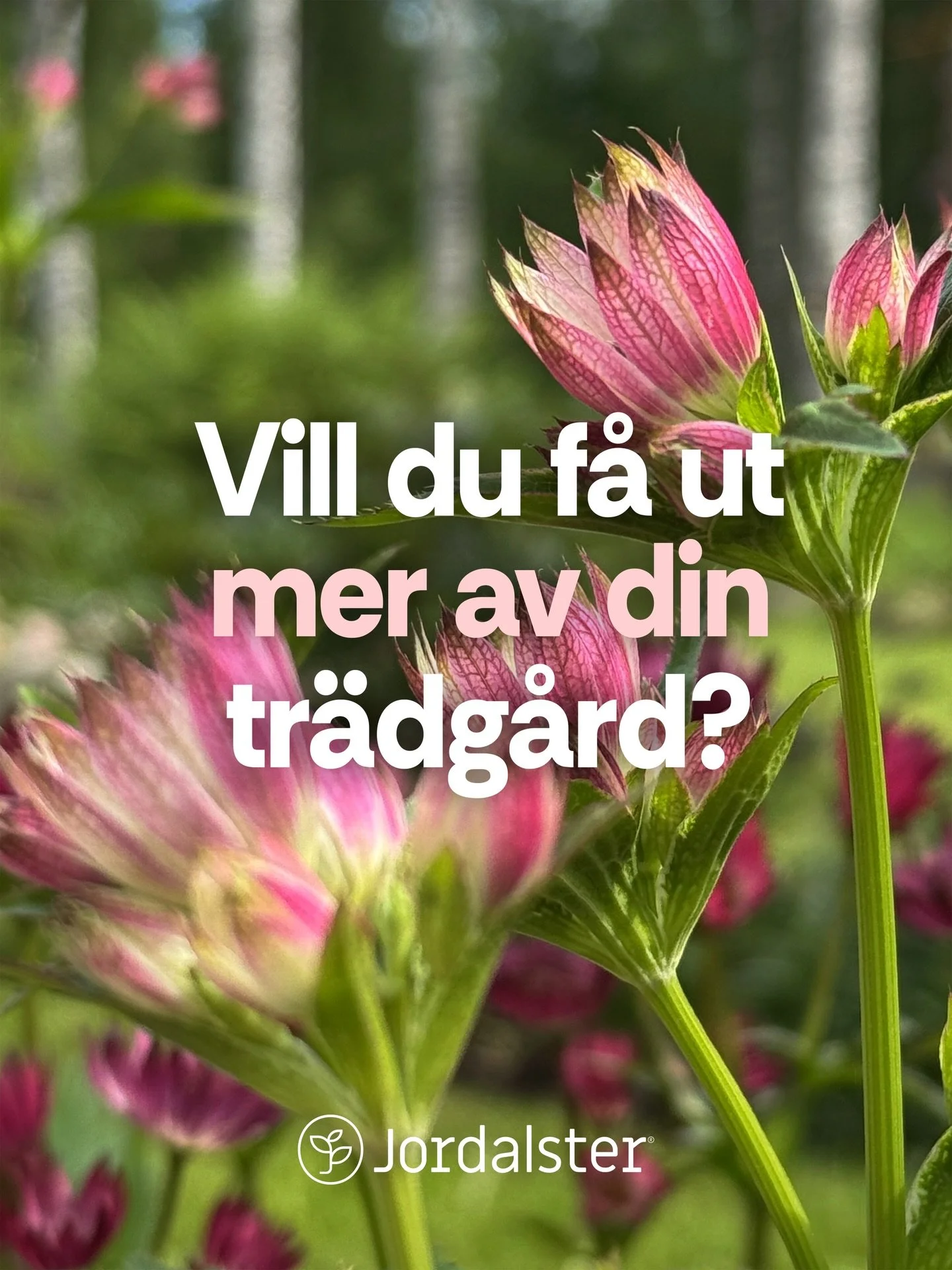 K&auml;nner du att din tr&auml;dg&aring;rd har mer potential, men &auml;r os&auml;ker p&aring; hur du ska utveckla den? 

Jag hj&auml;lper dig med inspiration, id&eacute;er, v&auml;xtval och design f&ouml;r att skapa en mer levande, funktionell och h