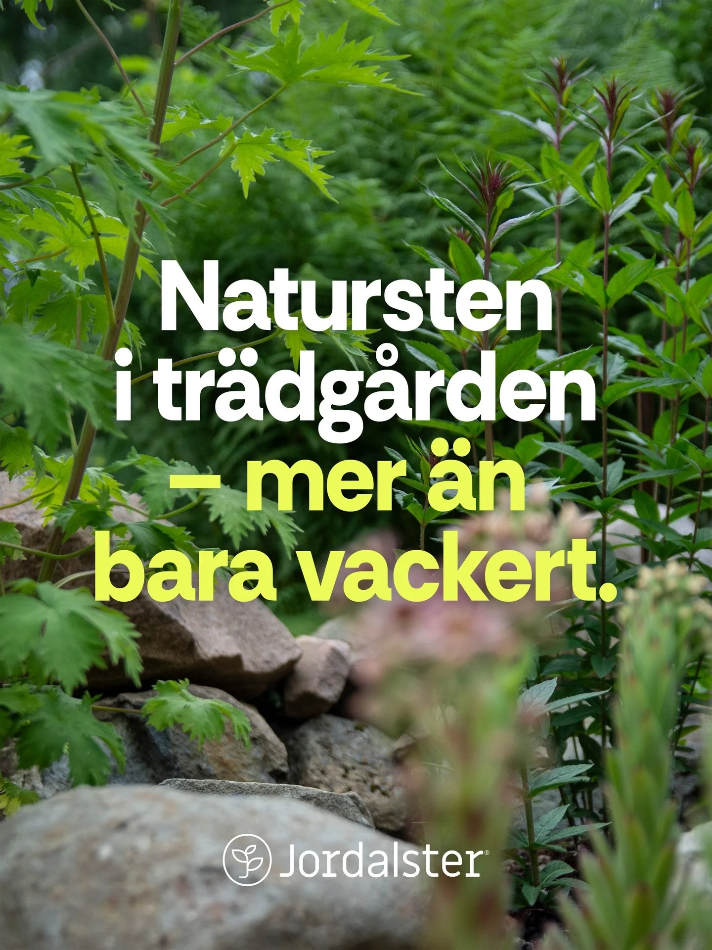 Att arbeta med natursten i tr&auml;dg&aring;rden handlar s&aring;klart om estetik. Men det handlar &auml;ven om funktion och h&aring;llbarhet, och att designa tr&auml;dg&aring;rden som ett system d&auml;r vatten, jord, v&auml;xter och material samver