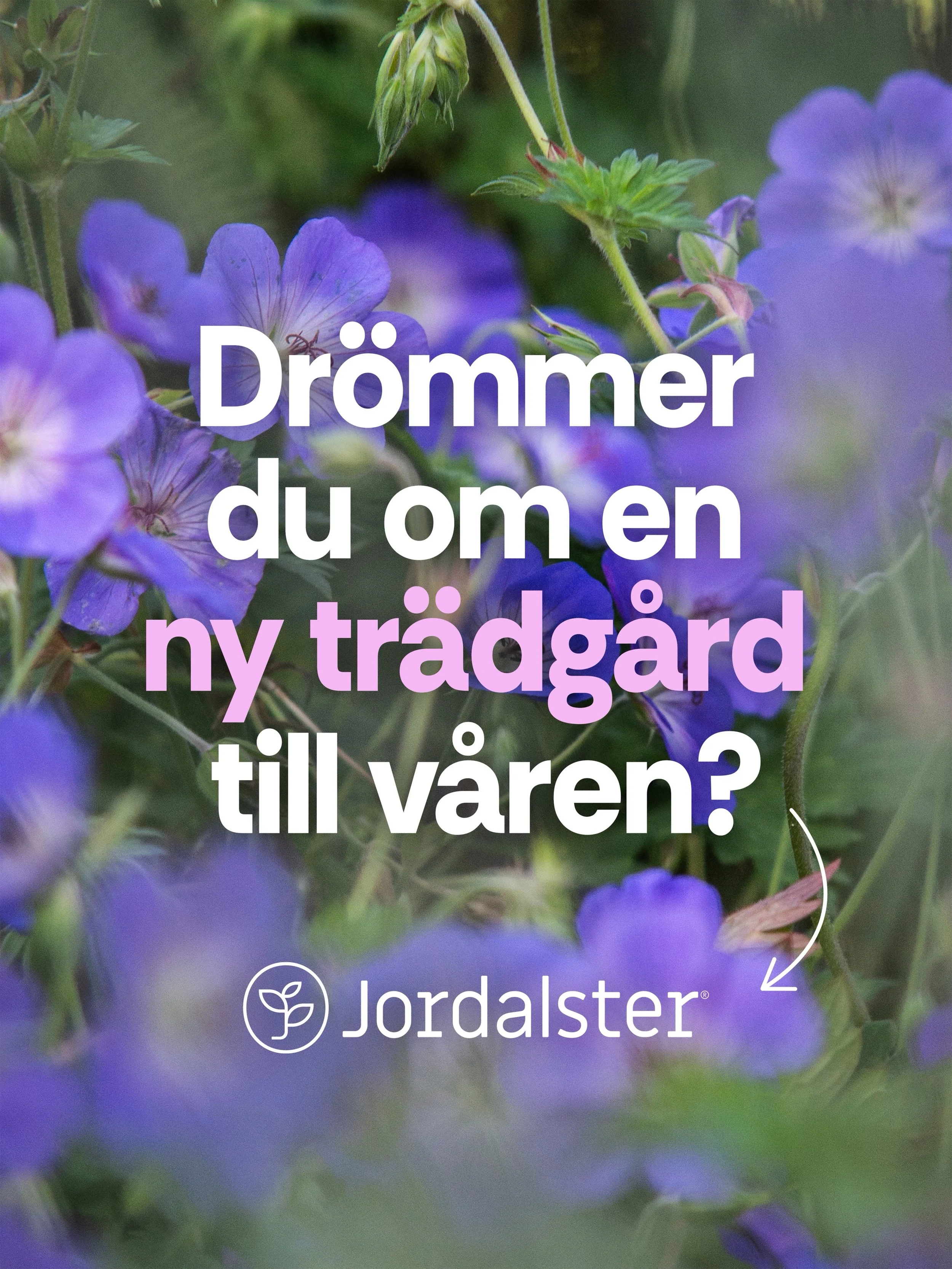 Dr&ouml;mmer du om en ny tr&auml;dg&aring;rd till v&aring;ren? B&ouml;rja redan i h&ouml;st. 🌱

En riktigt bra tr&auml;dg&aring;rd b&ouml;rjar l&aring;ngt innan f&ouml;rsta spadtaget. Och h&ouml;sten &auml;r en perfekt tid att b&ouml;rja planera n&a