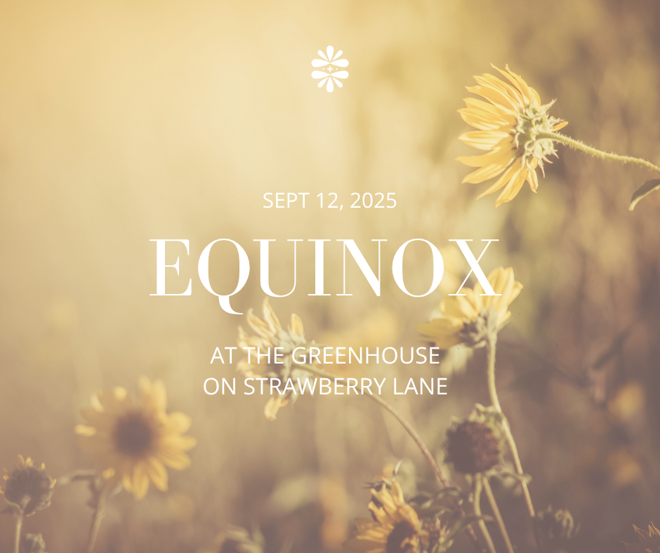 Equinox at the Greenhouse on Strawberry Lane