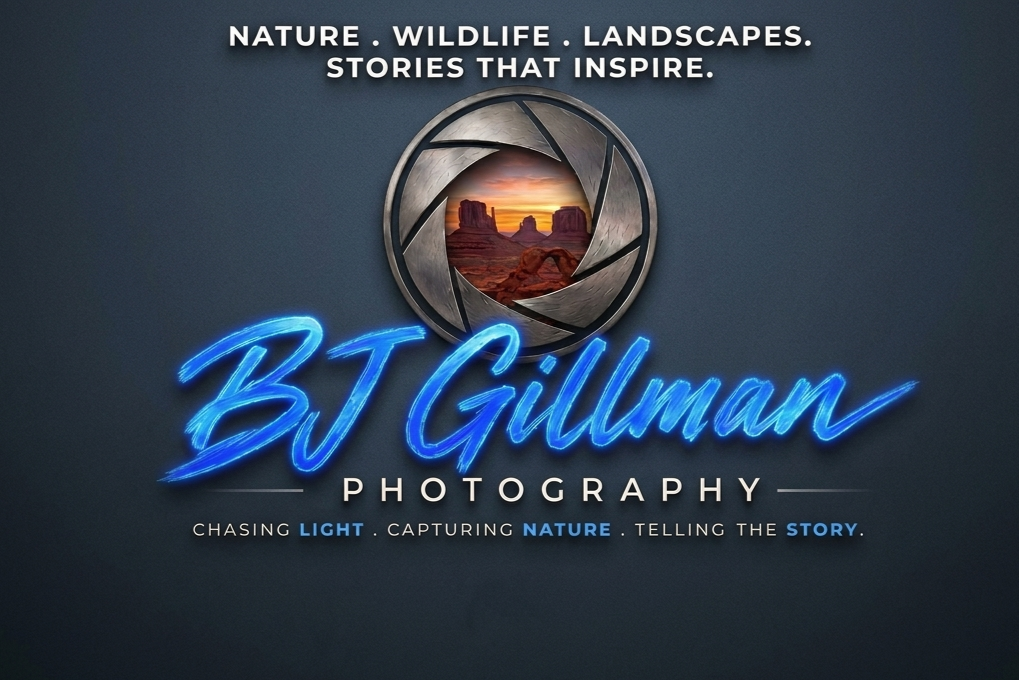 BJ Gillman Photography - Nature and Wildlife Photography