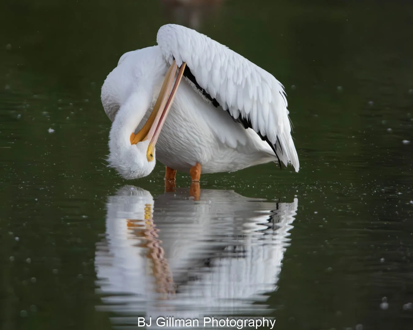 Riprarian 10.29 (103)-Edit.jpg