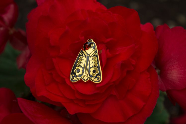 Black Moth