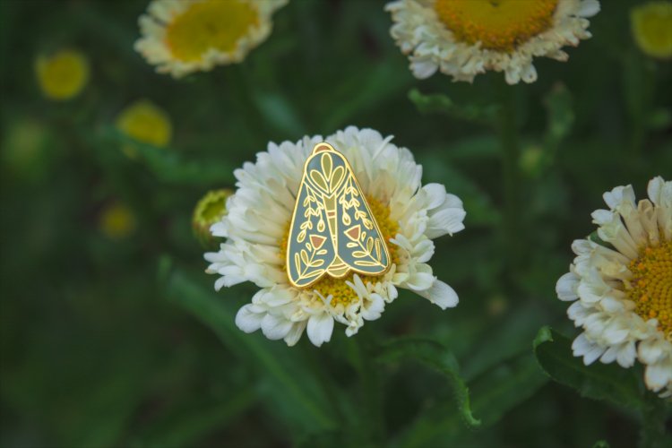 Green Moth