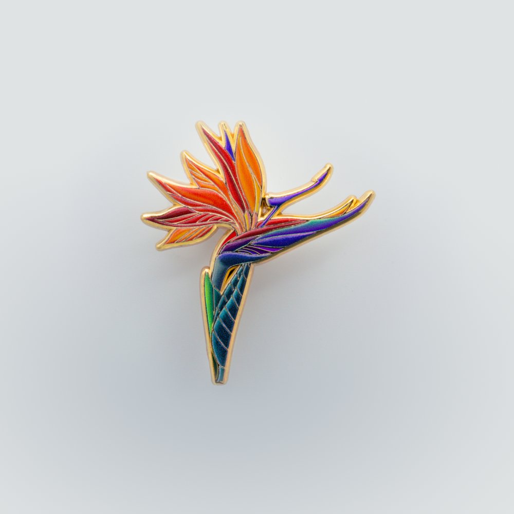 Birds of paradise.jpg
