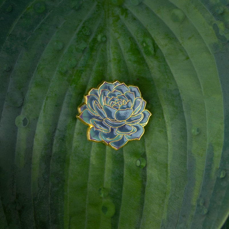 Succulent