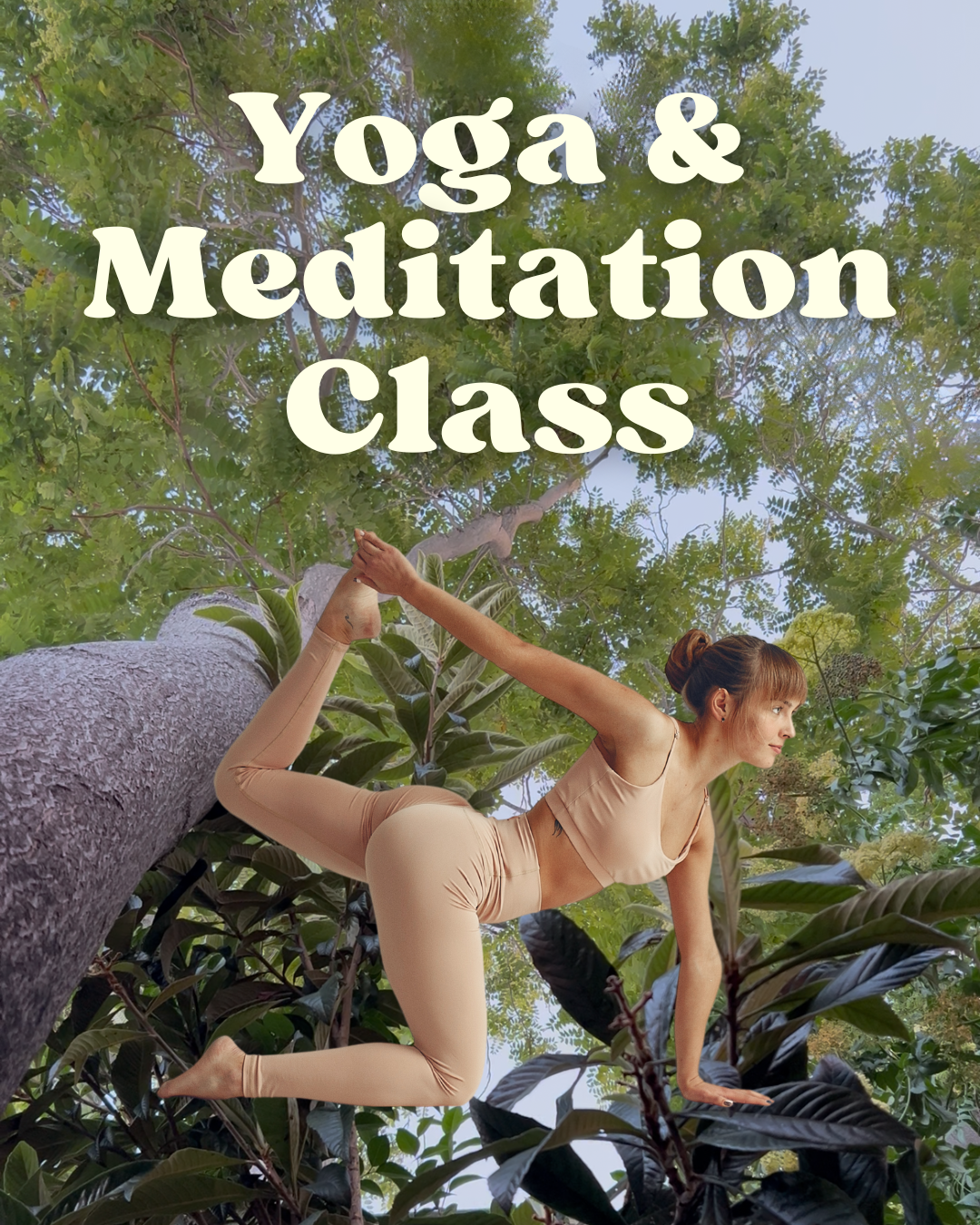 Yoga & Meditation Class