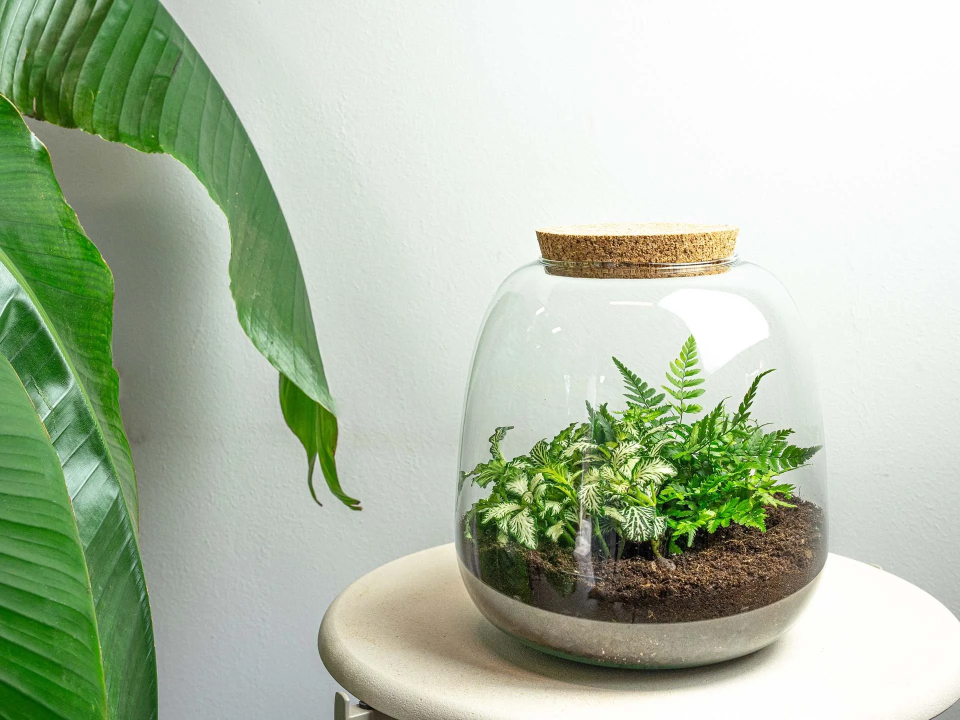 Terrarium Workshop