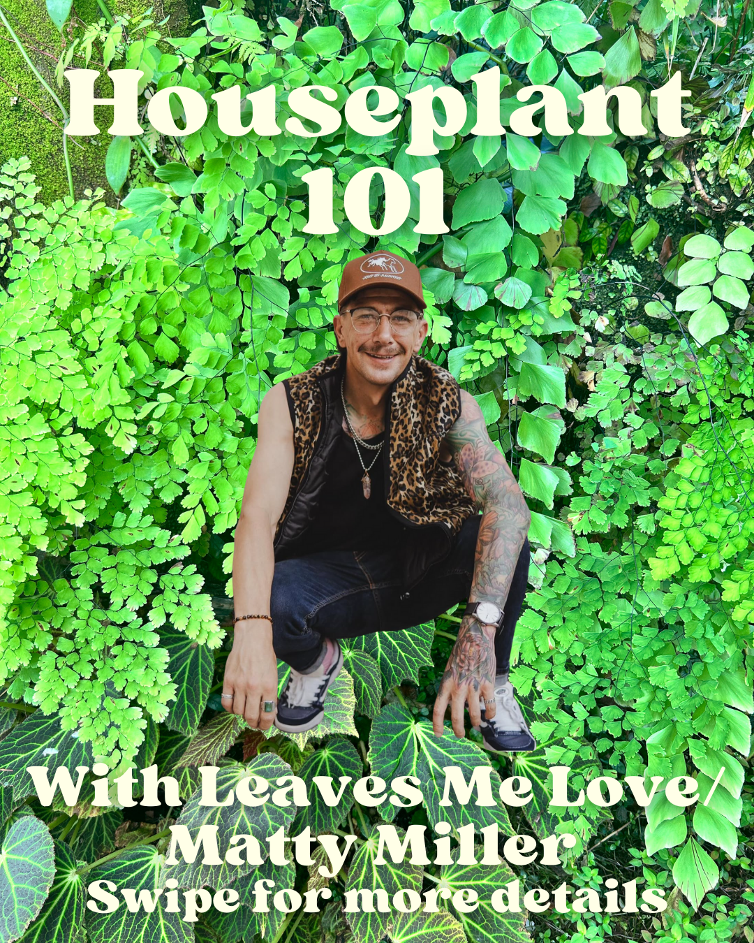 Houseplant 101
