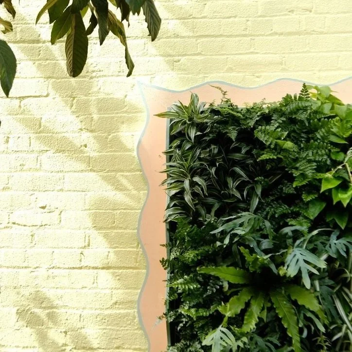 Understory Plant Shop