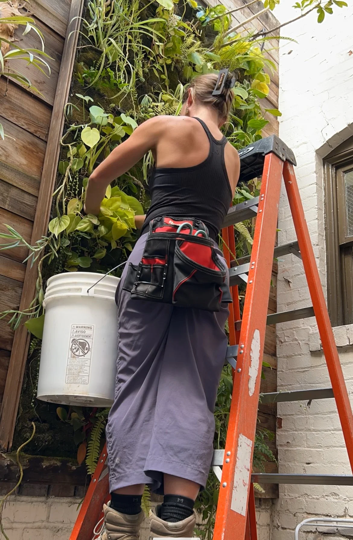 Person on ladder tending vertical garden with plants