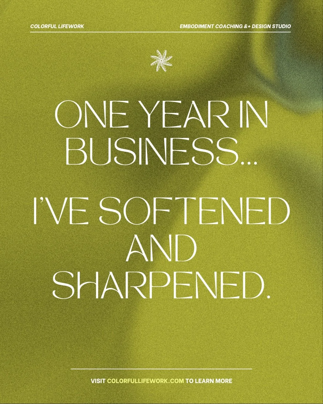 A year of creating, connecting and softly learning who and what is truly aligned. Listening to my intuition for my next move. 

Praying that my intuition and heart lead the way.
Asking for expansion, security and abundance that go beyond my wildest d