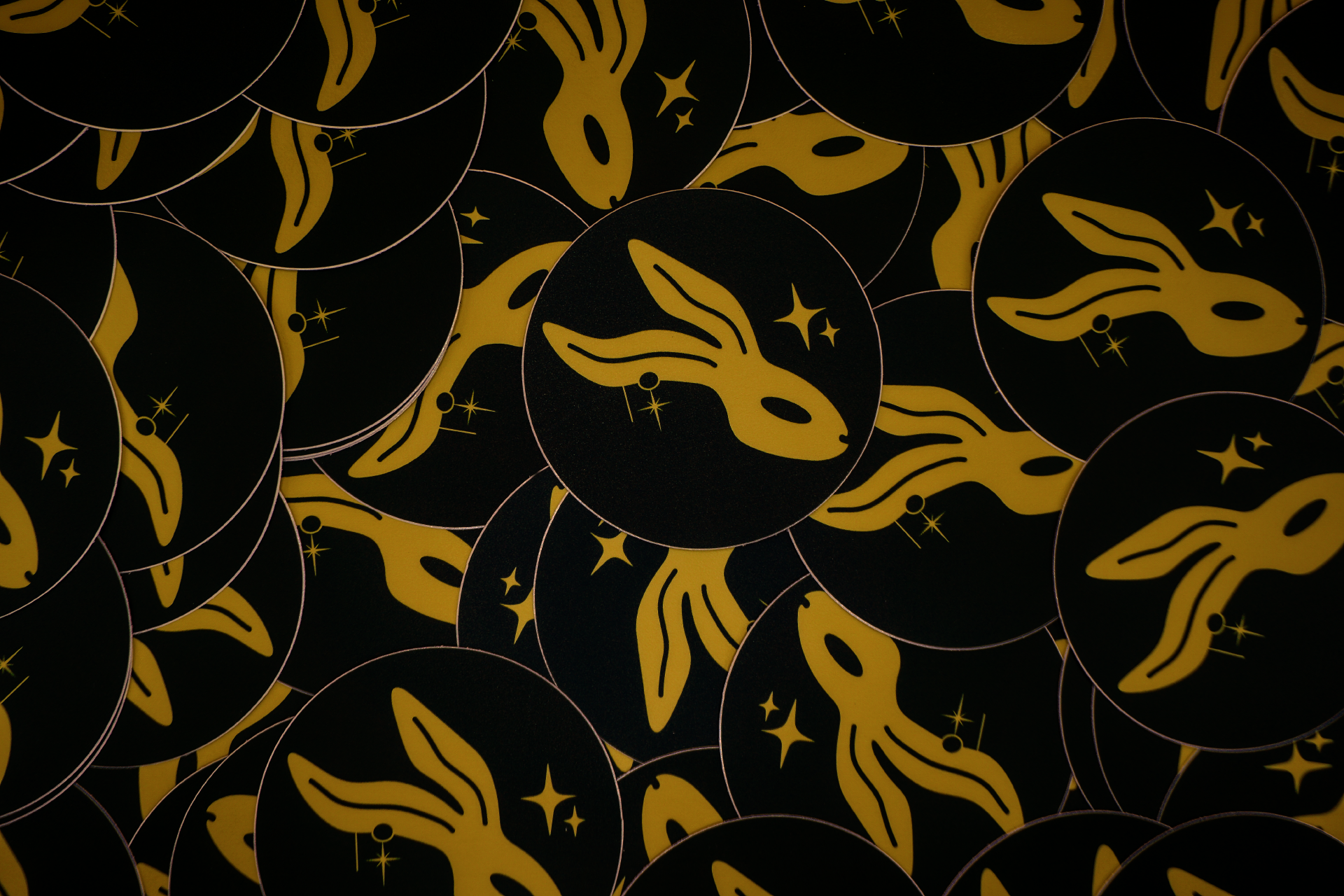 DSC09397.png