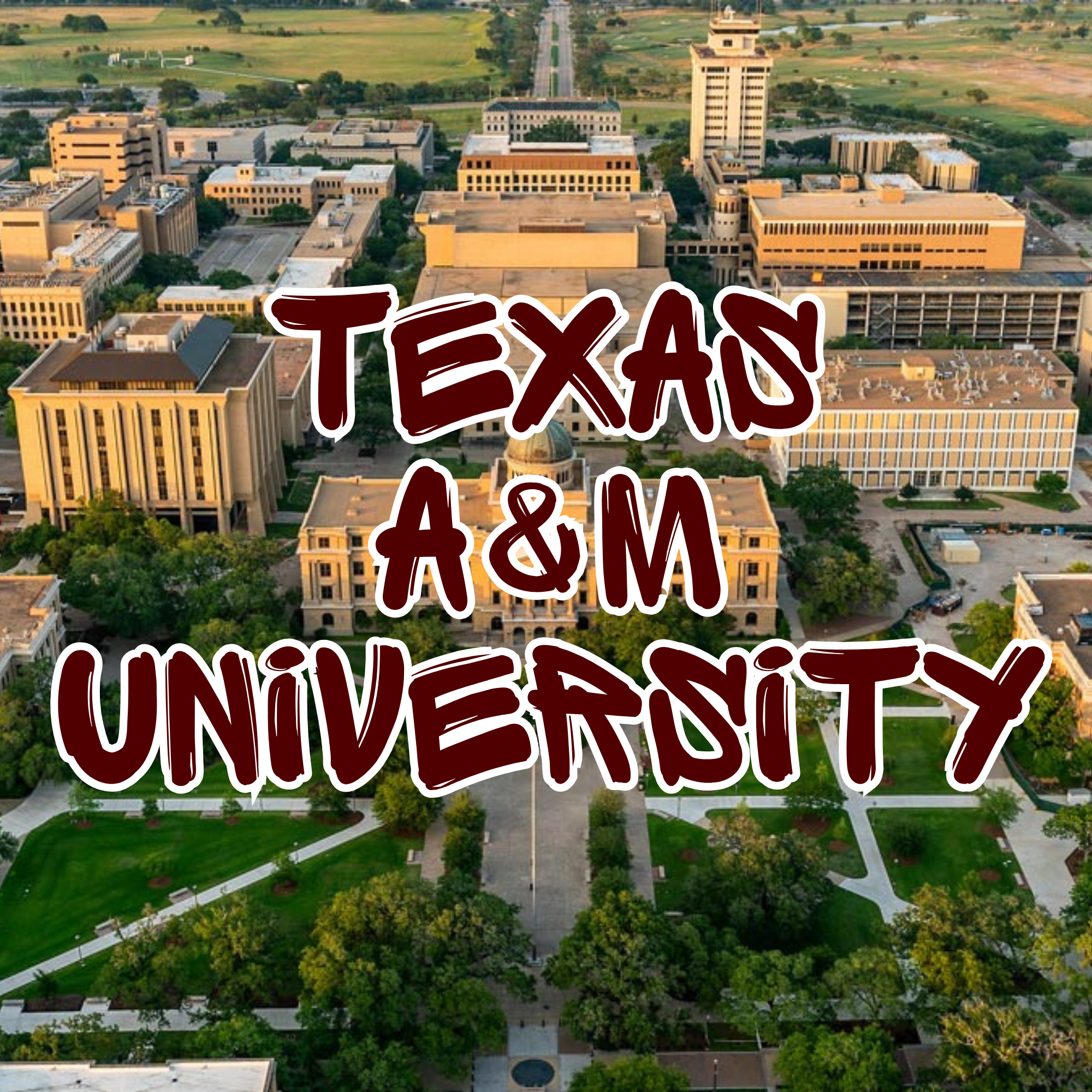 Aerial view of a university campus with several large buildings, green lawns, trees, and a wide street running through the campus. Overlaid text reads 'TEXAS A&M UNIVERISTY' in bold, dark red letters.