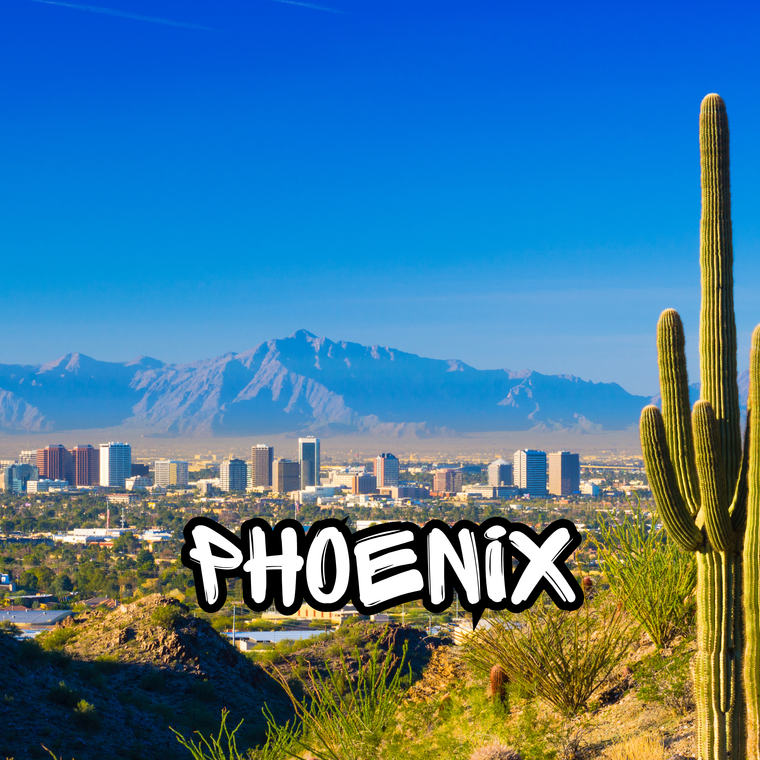 phoenix.png