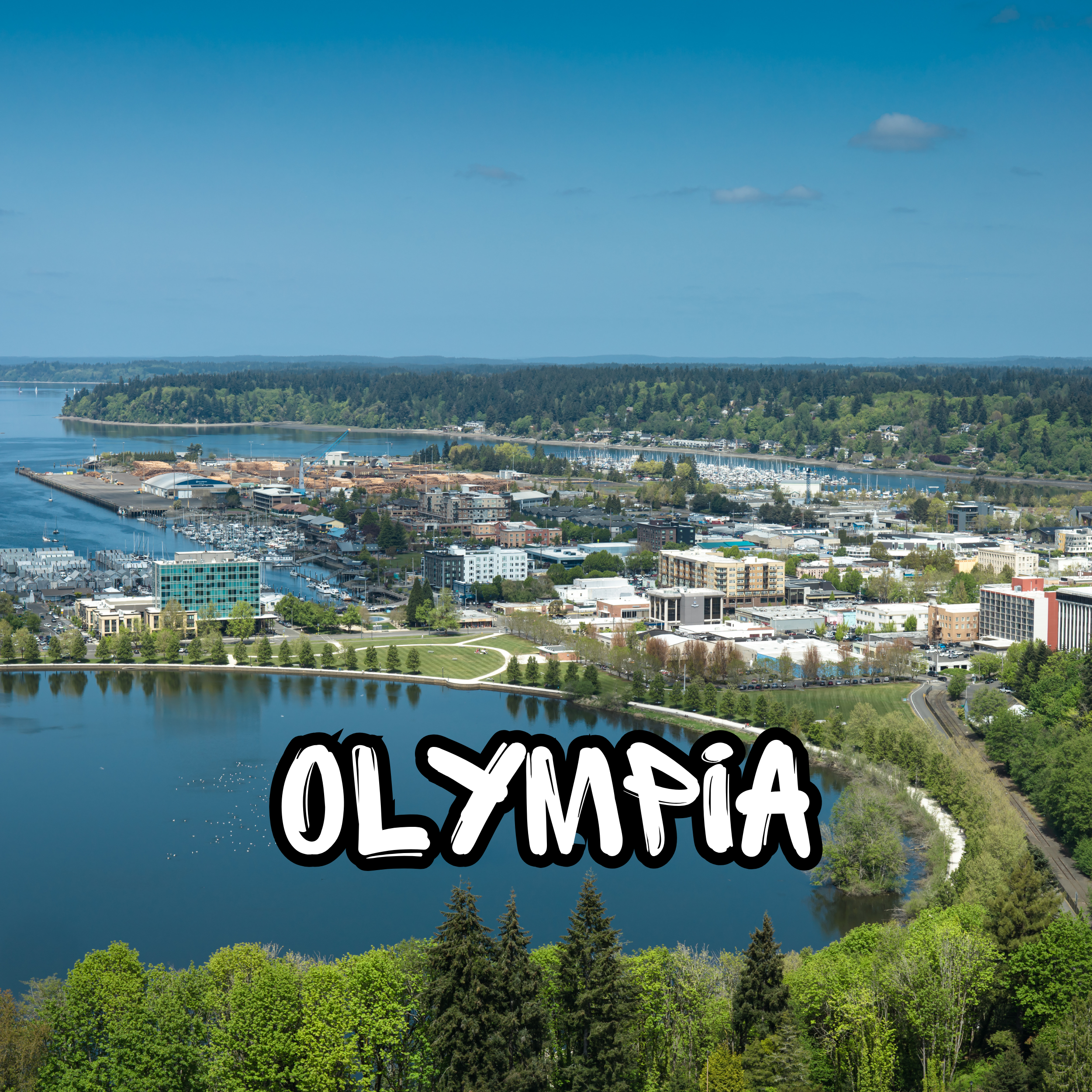 Aerial view of a city with a river, trees, buildings, and a marina with boats, under a blue sky with a few clouds.