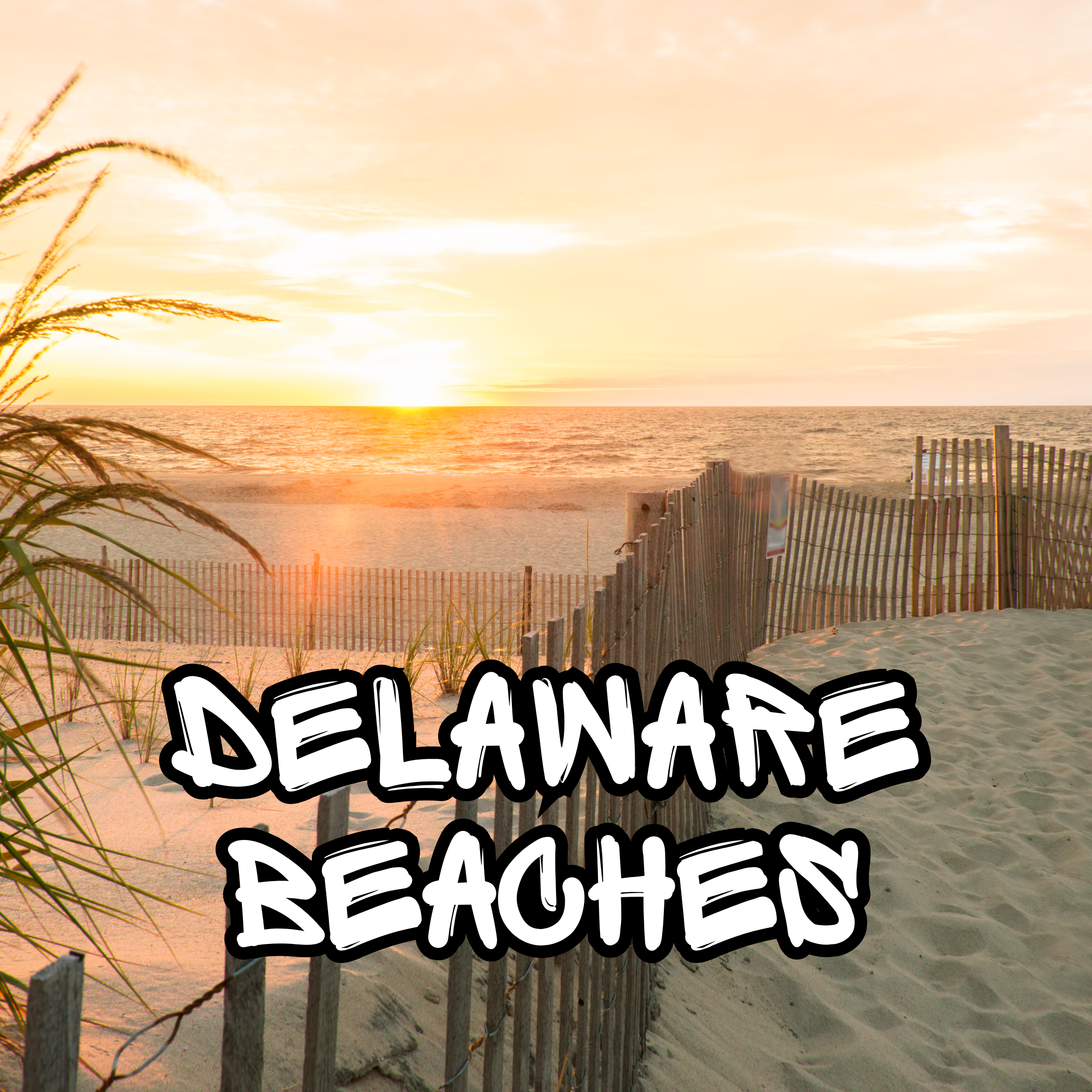 Delaware Beaches.png