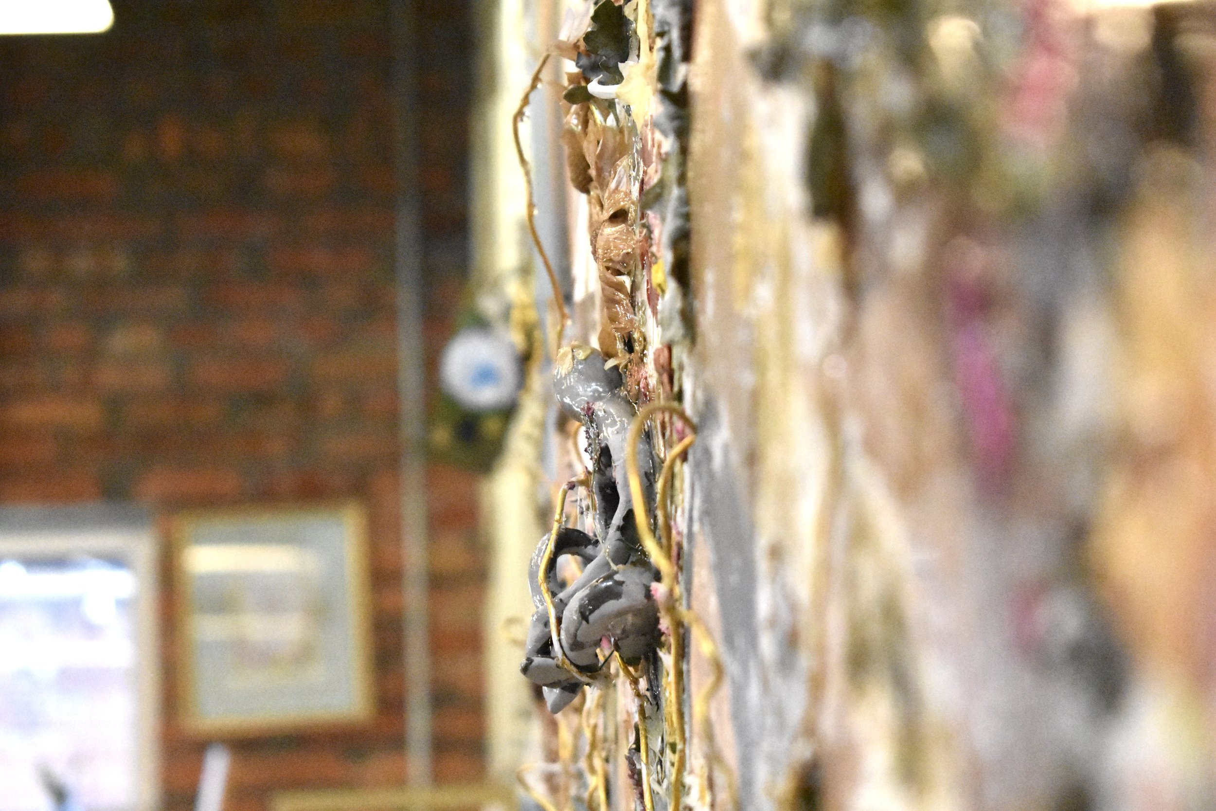 DSC_0171 2.jpg