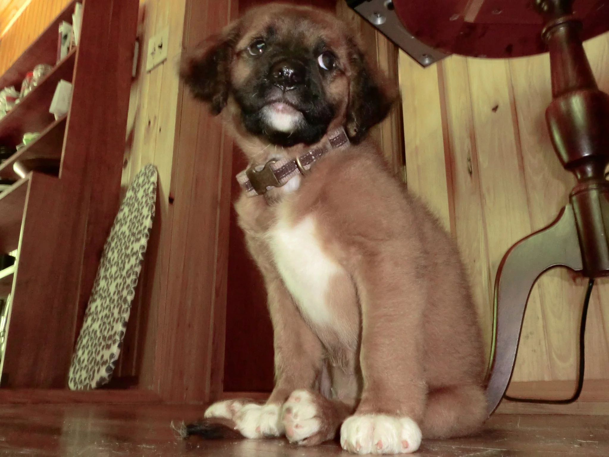 baby Maddy 1.jpg