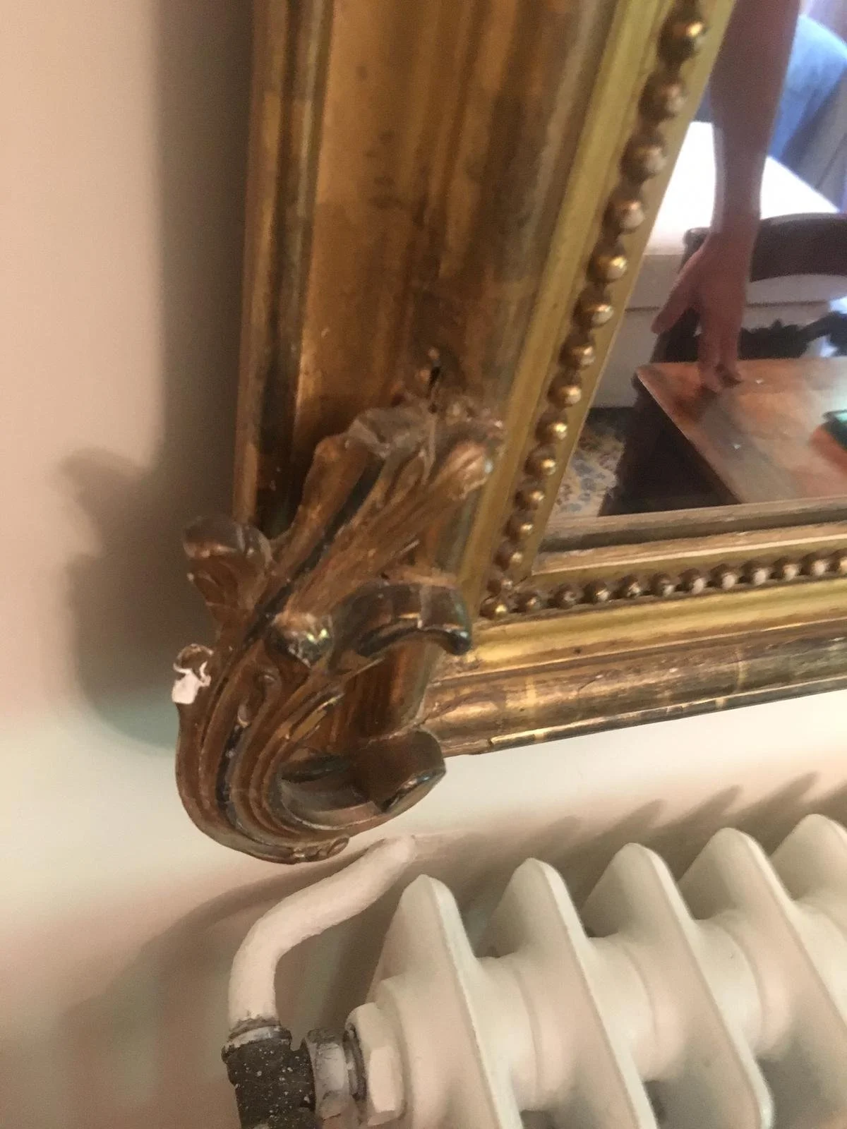 WhatsApp Image 2026-01-17 at 13.41.16.jpeg