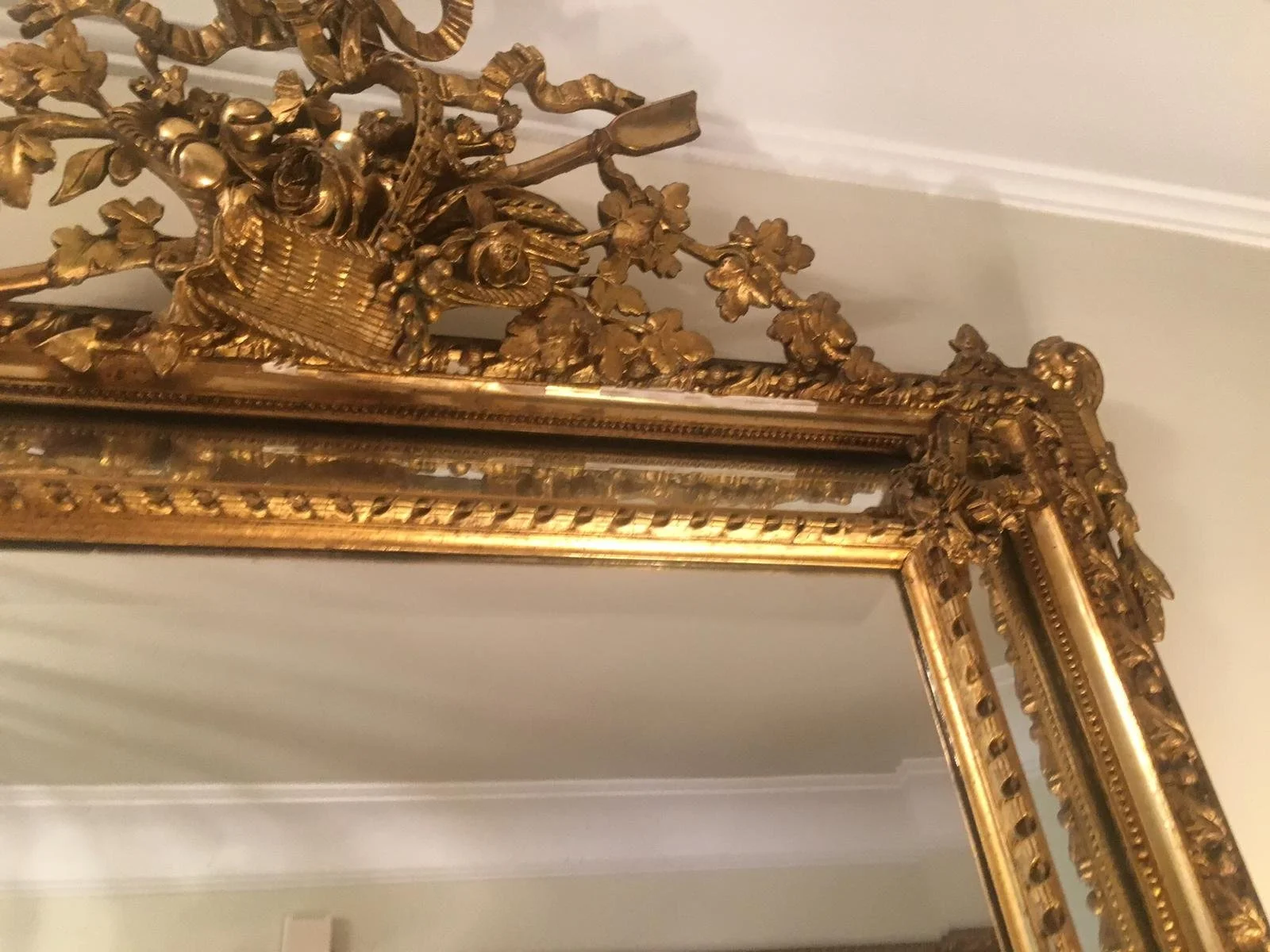 WhatsApp Image 2026-01-17 at 13.41.17.jpeg