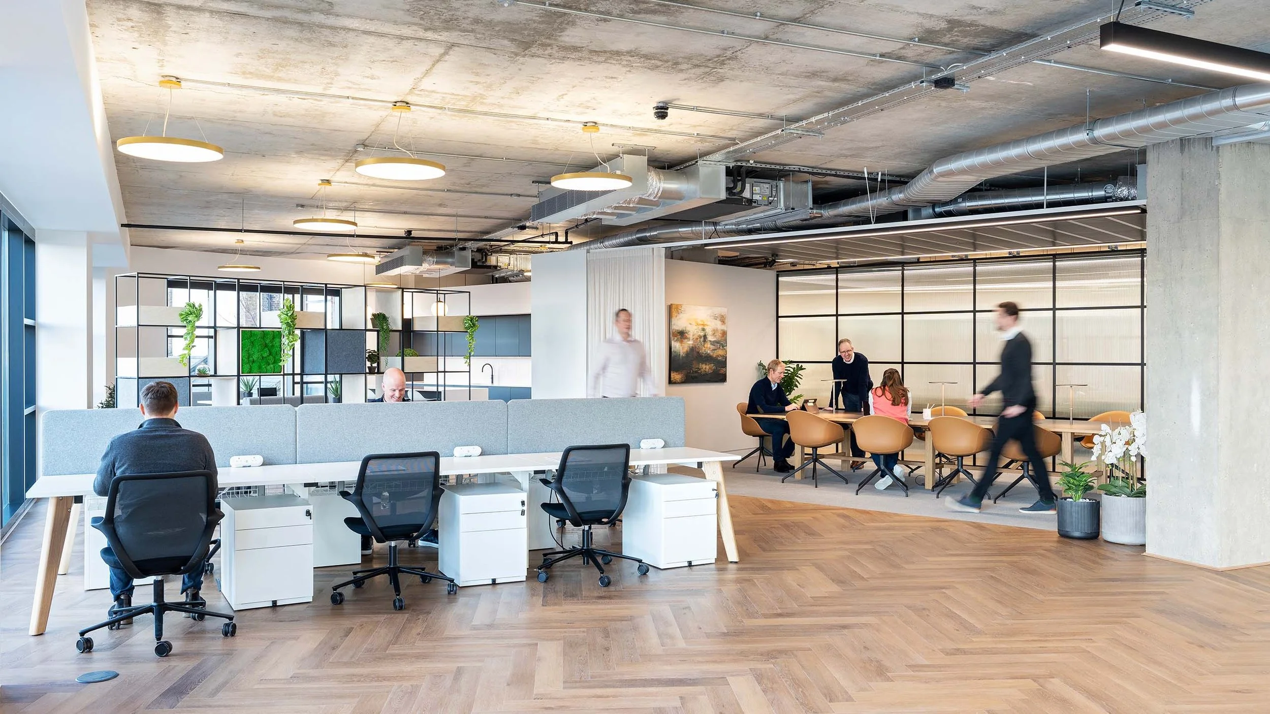 gallery3.jpg