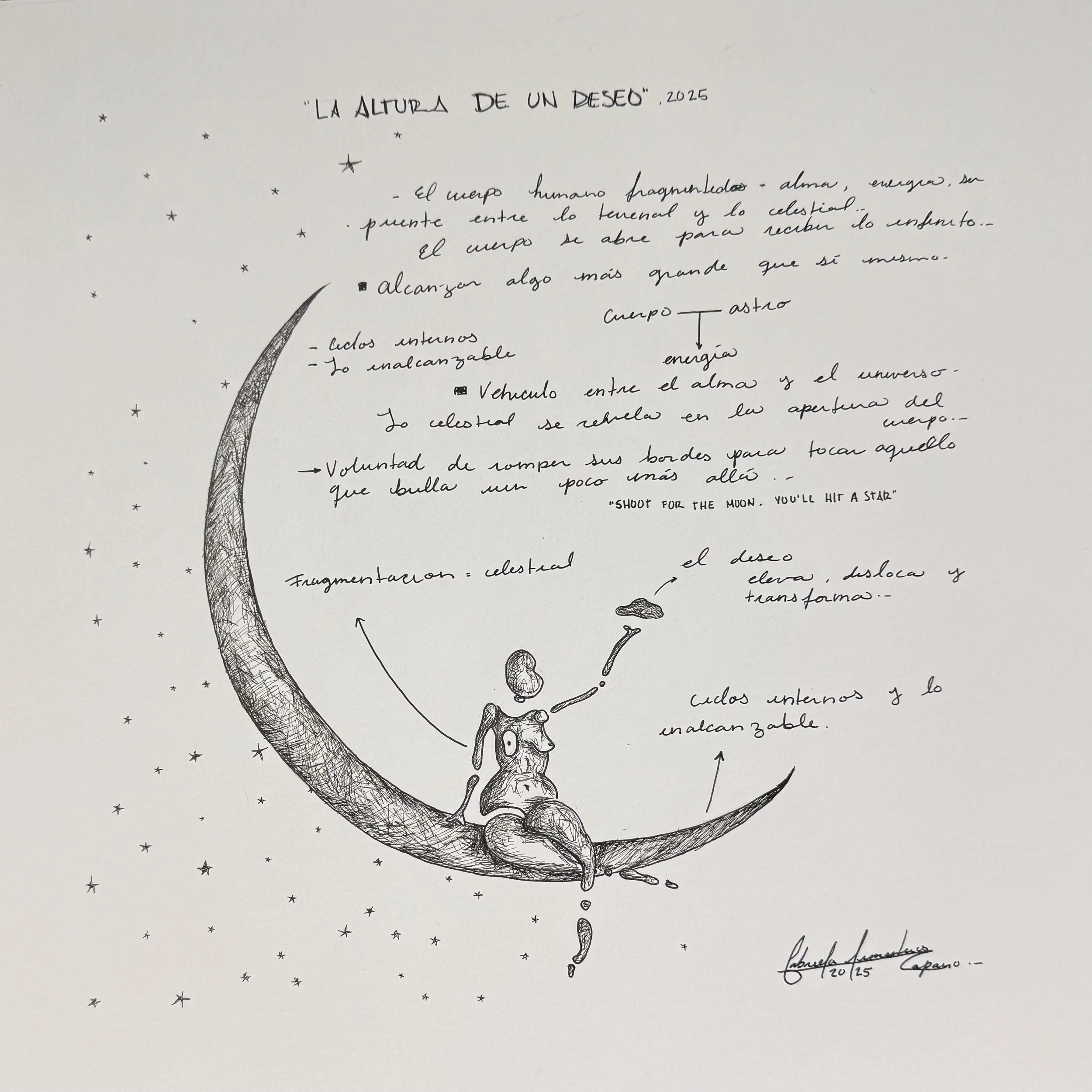 Estudio del Cuerpo en la Luna | 2025 | Tinta sobre paspartú | 13" x 13"