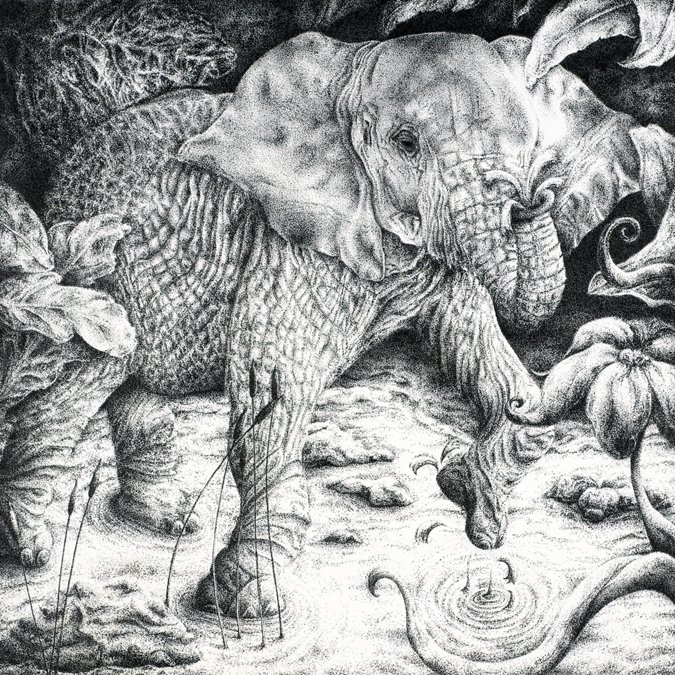 Elephant Drinking Water
