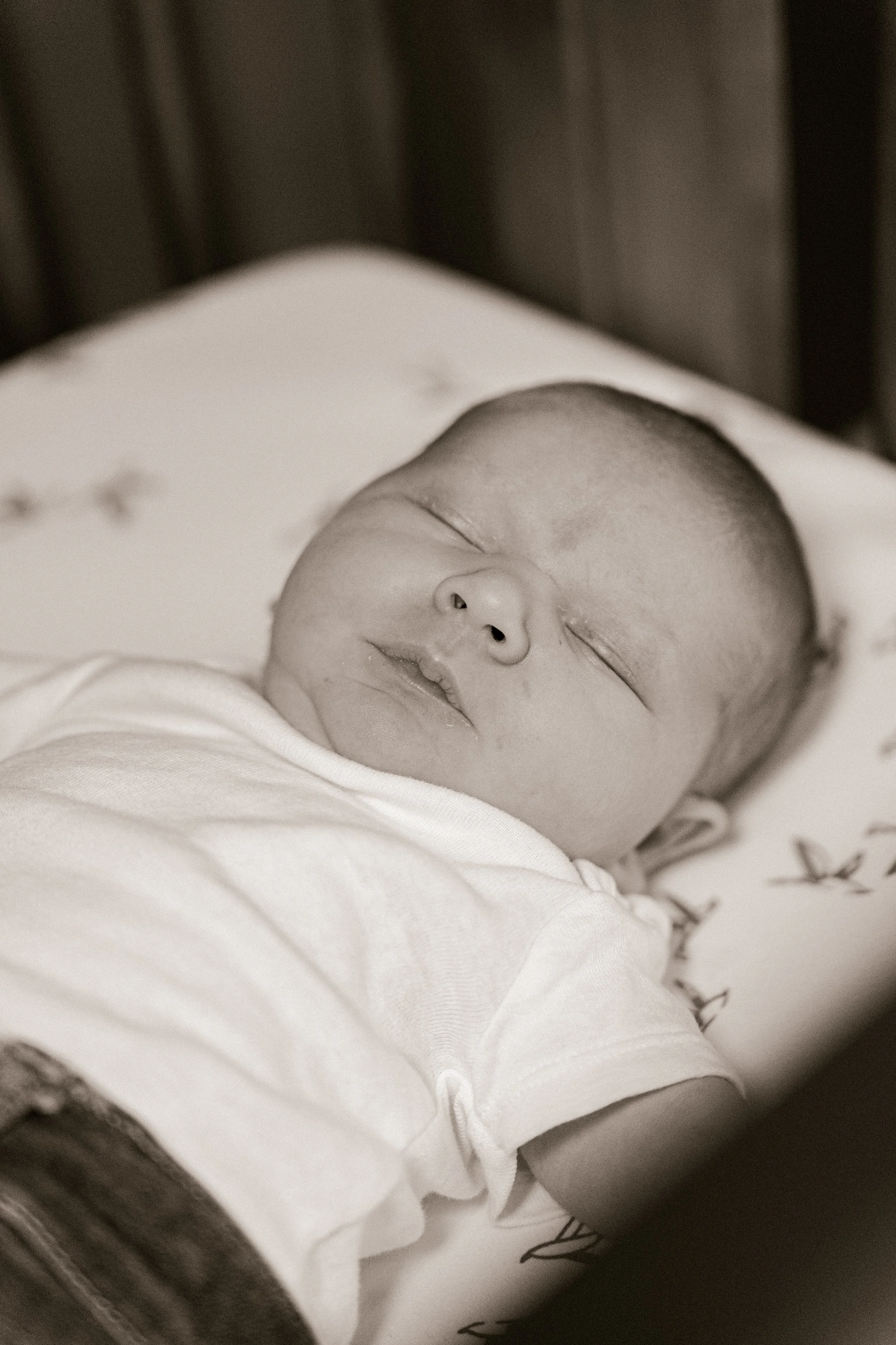 Alexander Newborns 2025@kenzimariephotography-66.jpg