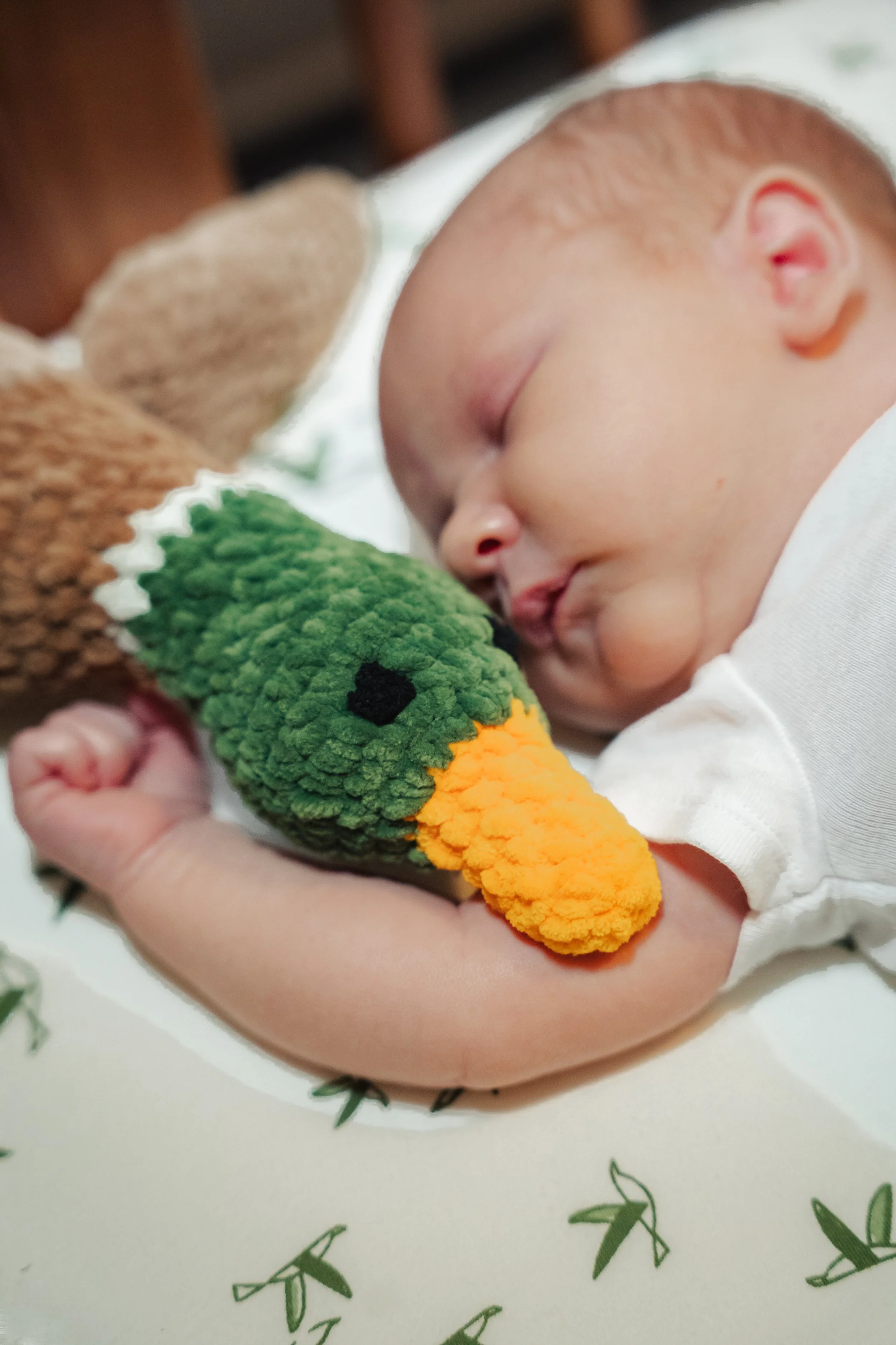 Alexander Newborns 2025@kenzimariephotography-55.jpg