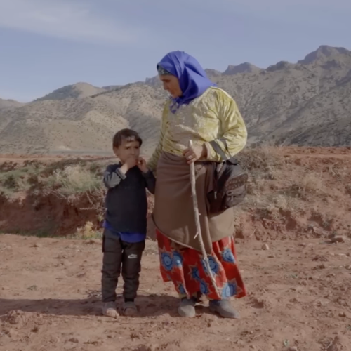 Amal Nonprofit