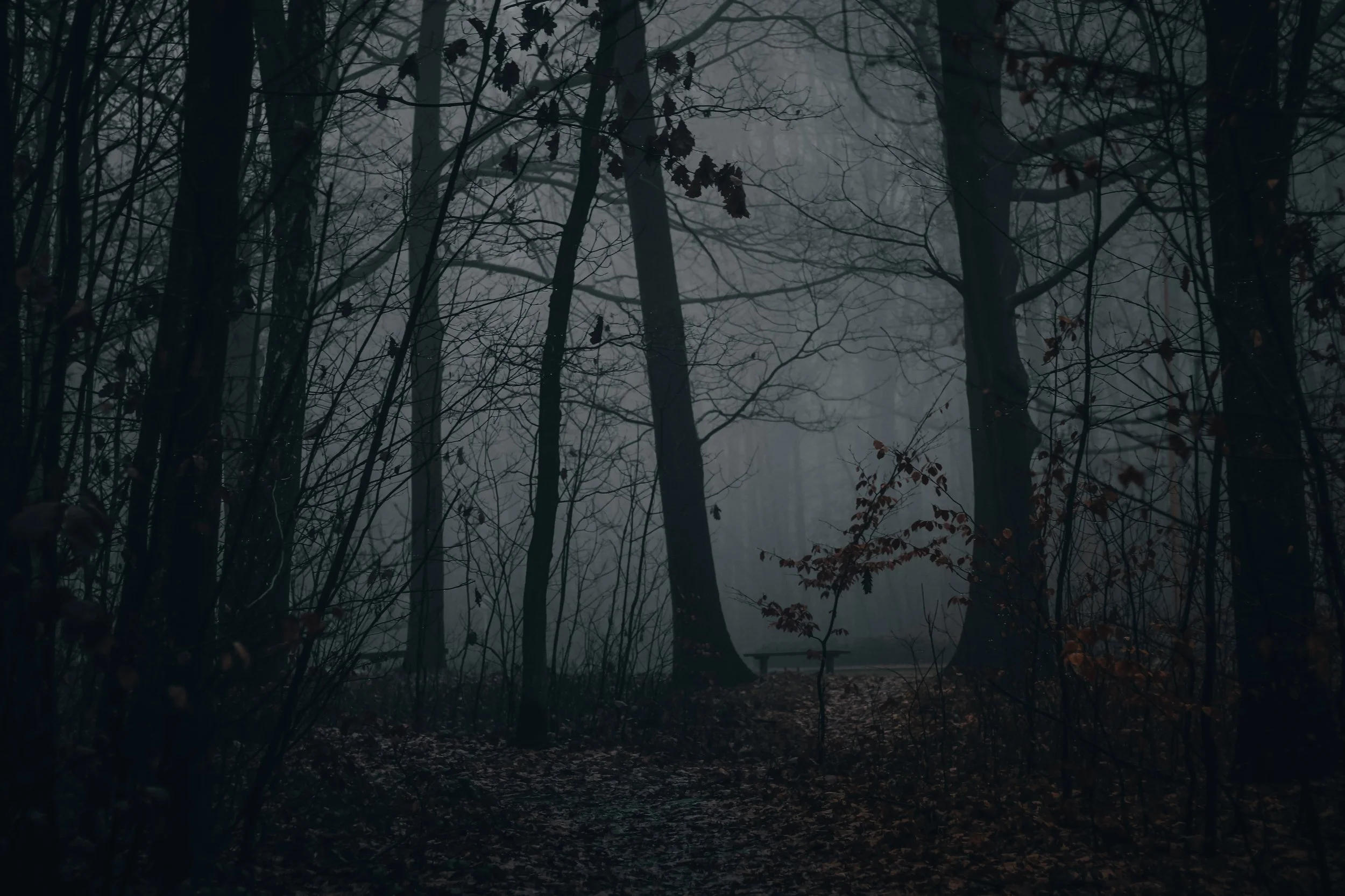 NIGHTFALL