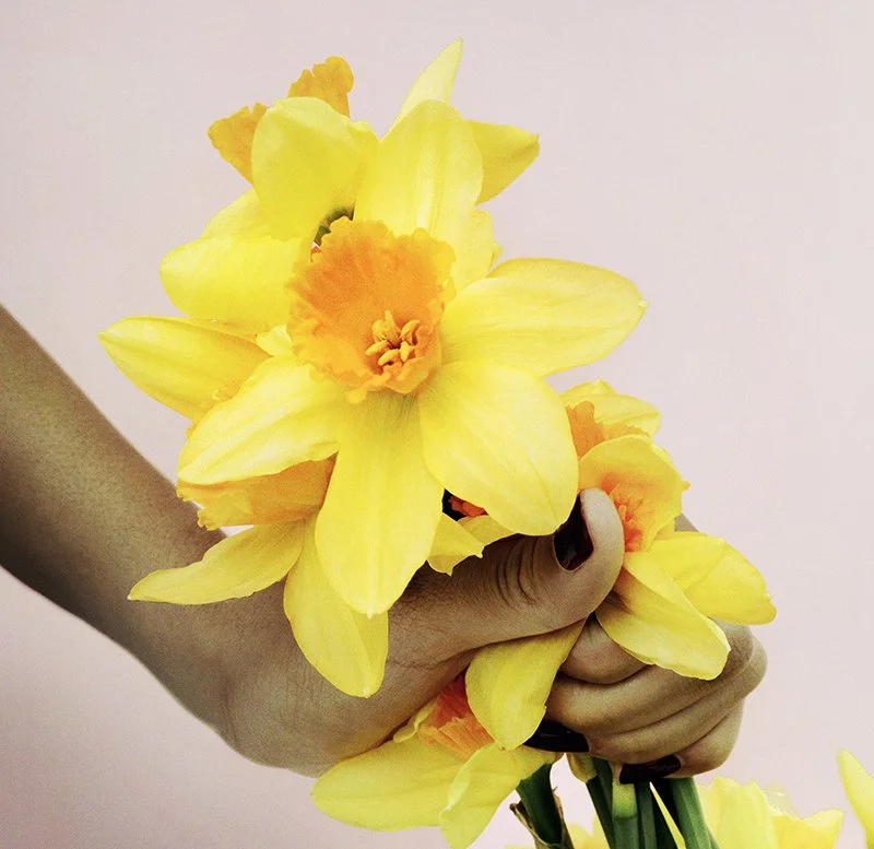 MarcJacobs_Perfect_SoloFlower__0280_flat_v8 2 copy.jpg